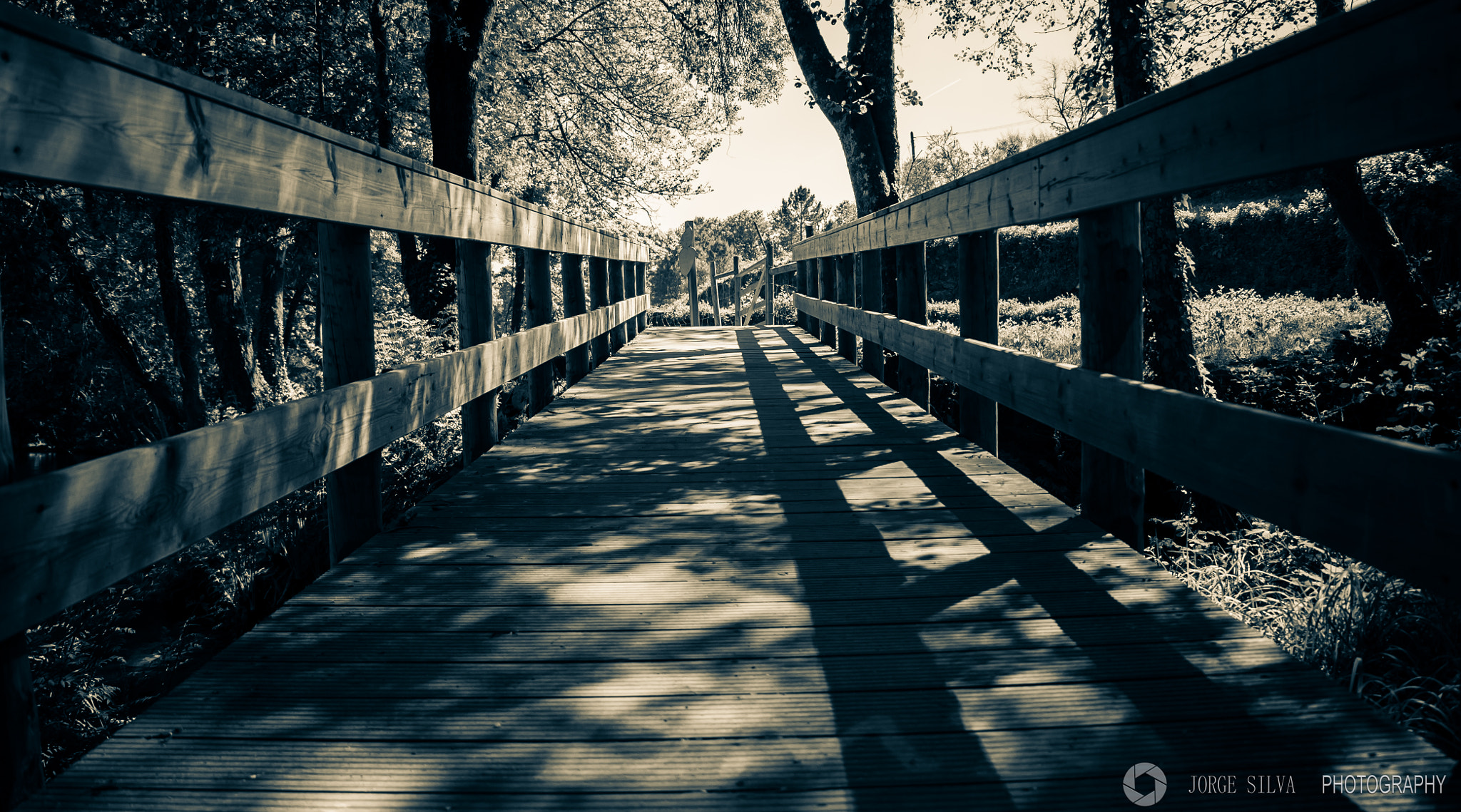 Canon EOS 1100D (EOS Rebel T3 / EOS Kiss X50) sample photo. Walkway photography