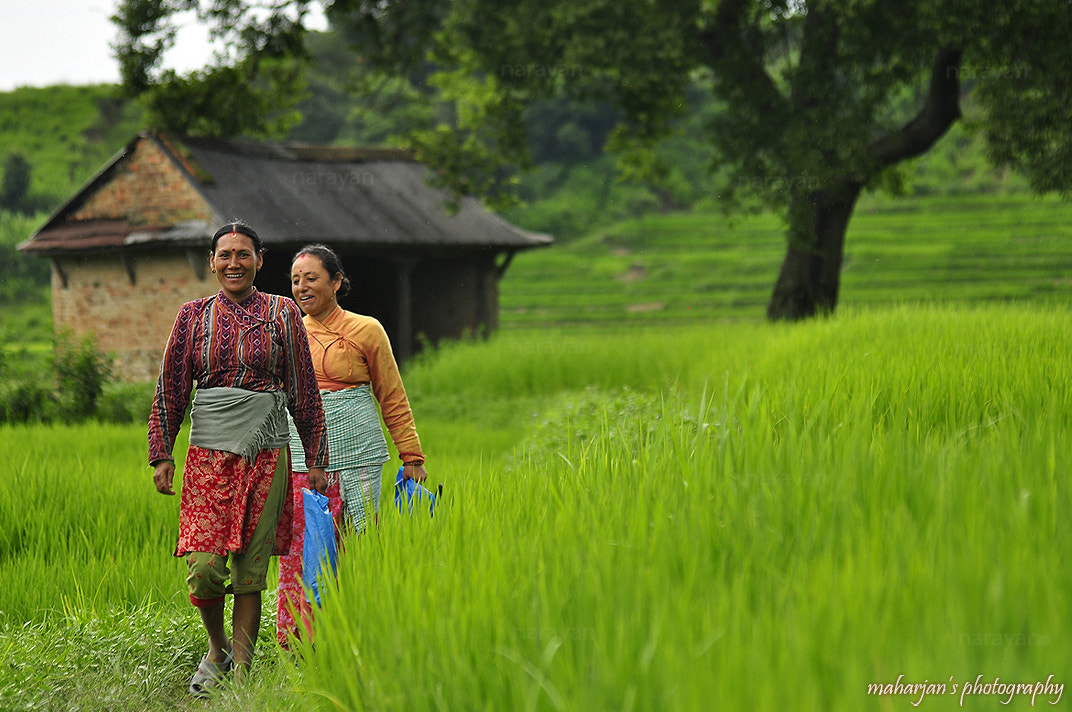 Nikon D5000 + Sigma 70-300mm F4-5.6 APO DG Macro sample photo. Local farmers walking towards home photography