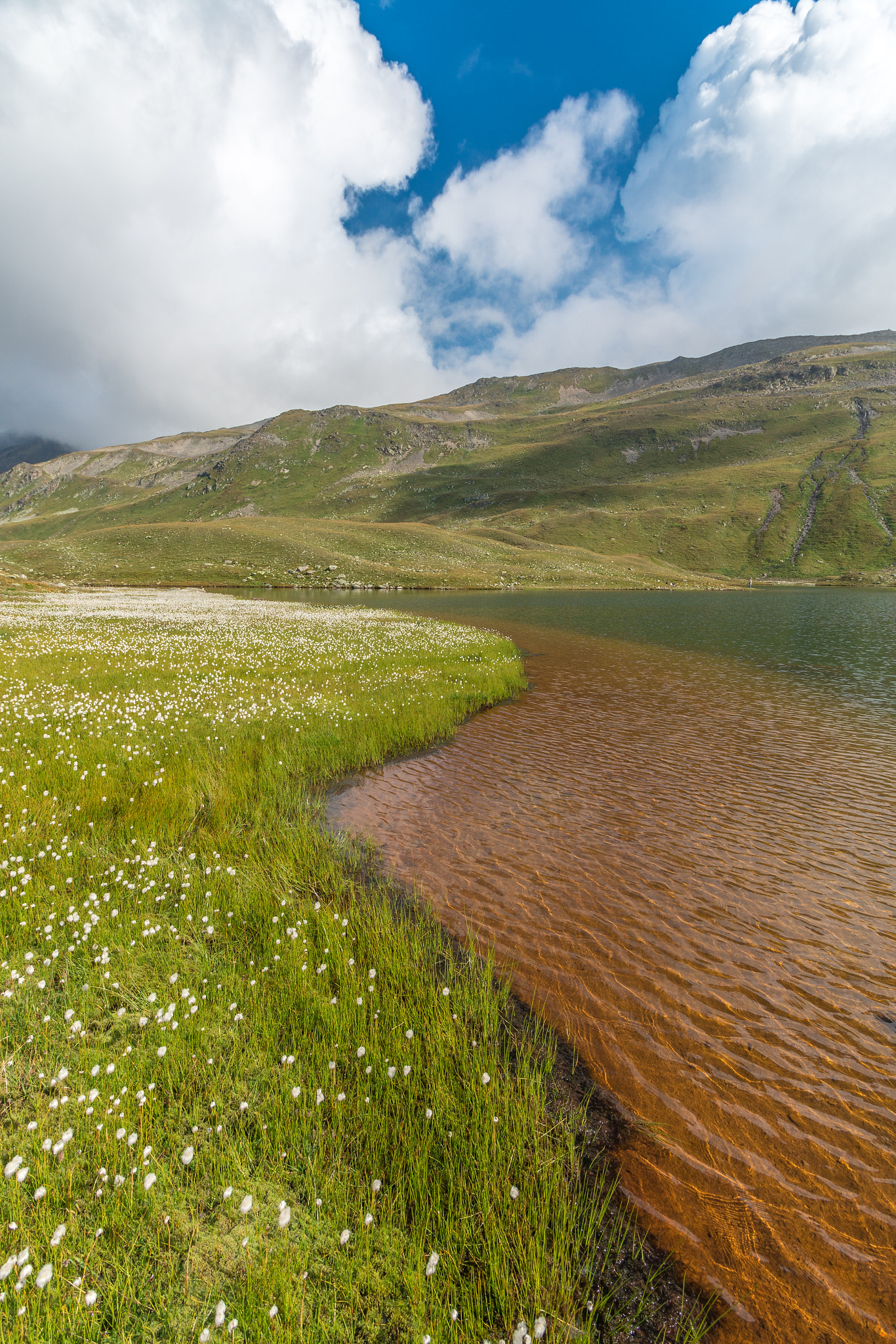 Canon EOS 70D sample photo. Water and flowers in the alps photography
