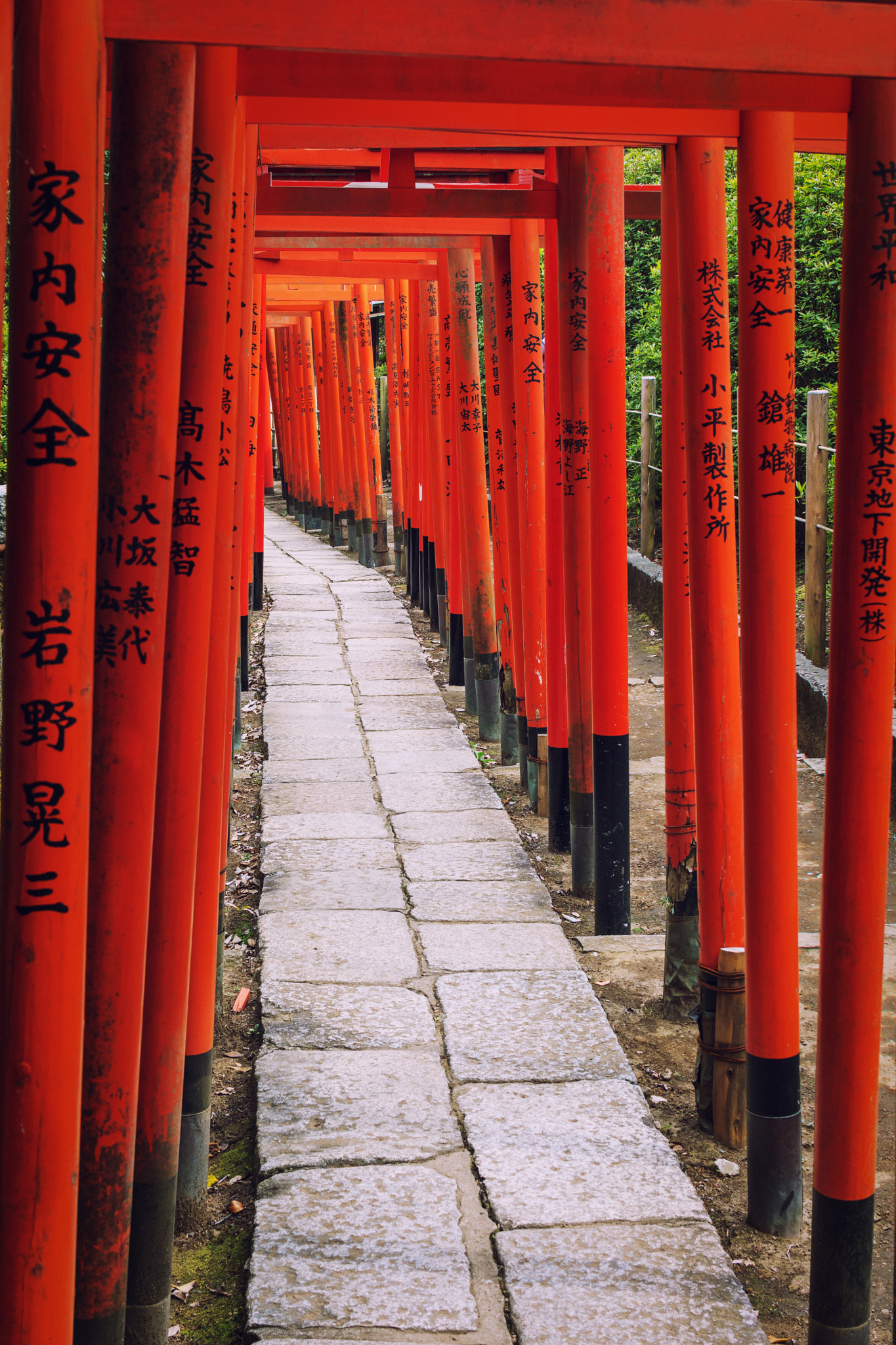 Nikon AF-S DX Nikkor 35mm F1.8G sample photo. Tori... photography