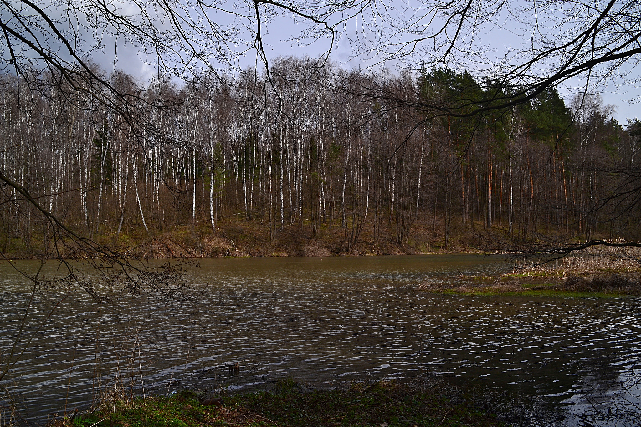 Nikon D3100 sample photo. By the coast of the pond photography