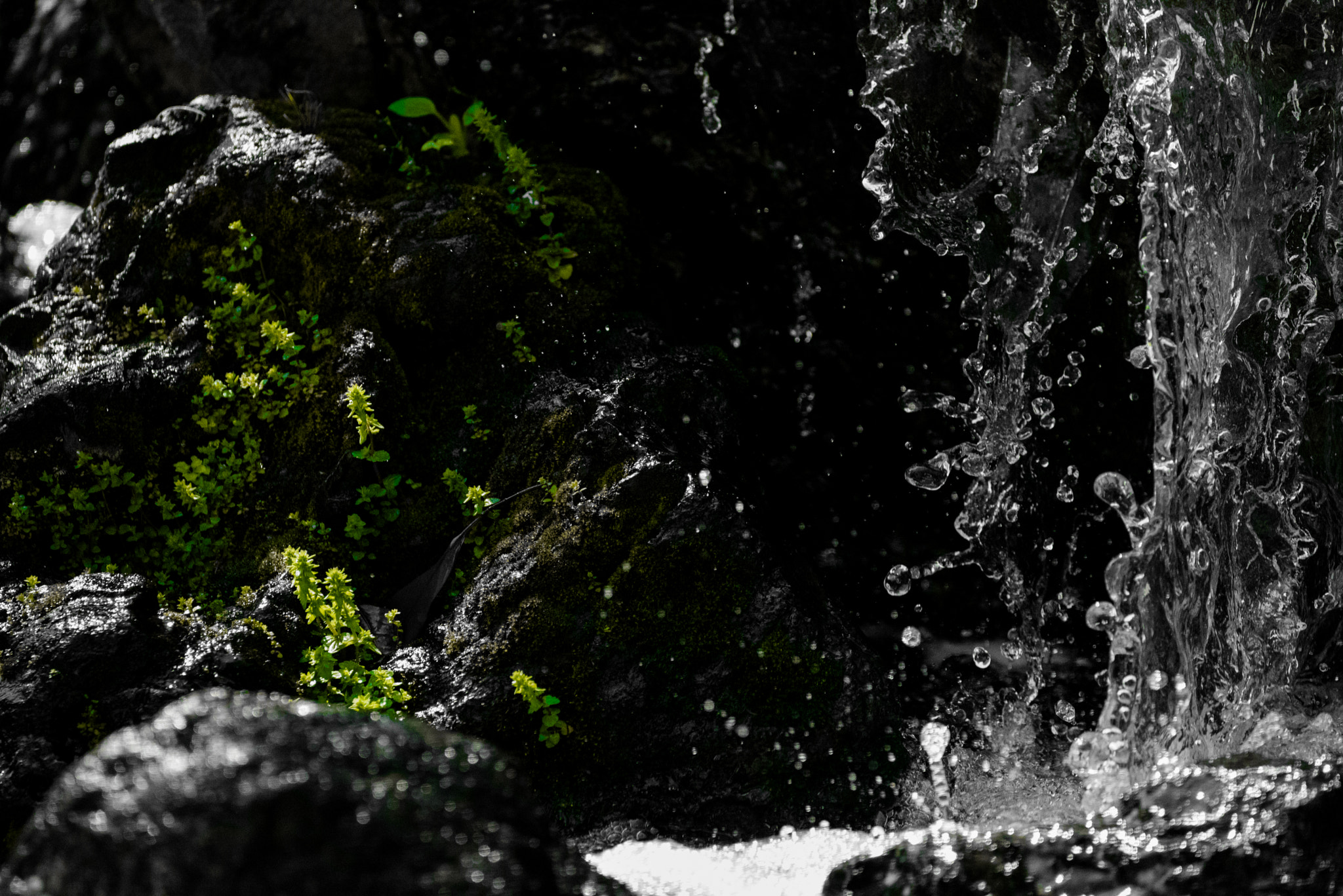 Sigma 150-600mm F5-6.3 DG OS HSM | C sample photo. Water photography