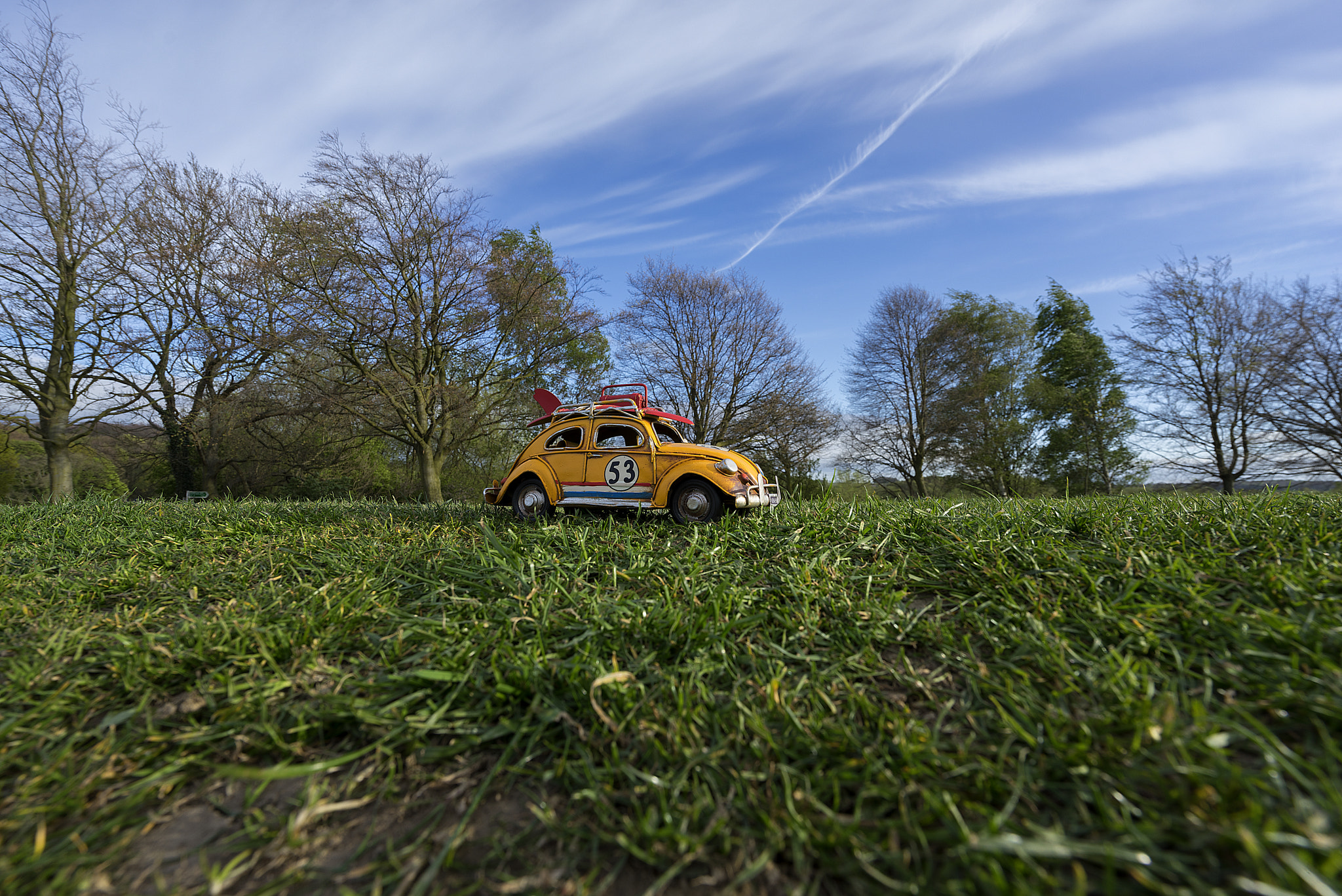 Sony a7R + Sony Vario-Tessar T* FE 16-35mm F4 ZA OSS sample photo. Off road photography