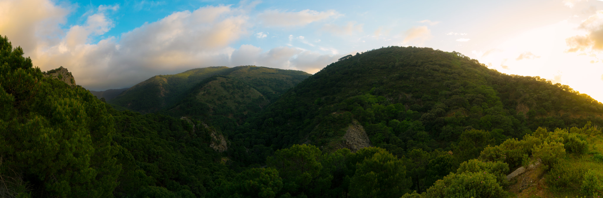 Samyang 14mm F2.8 ED AS IF UMC sample photo