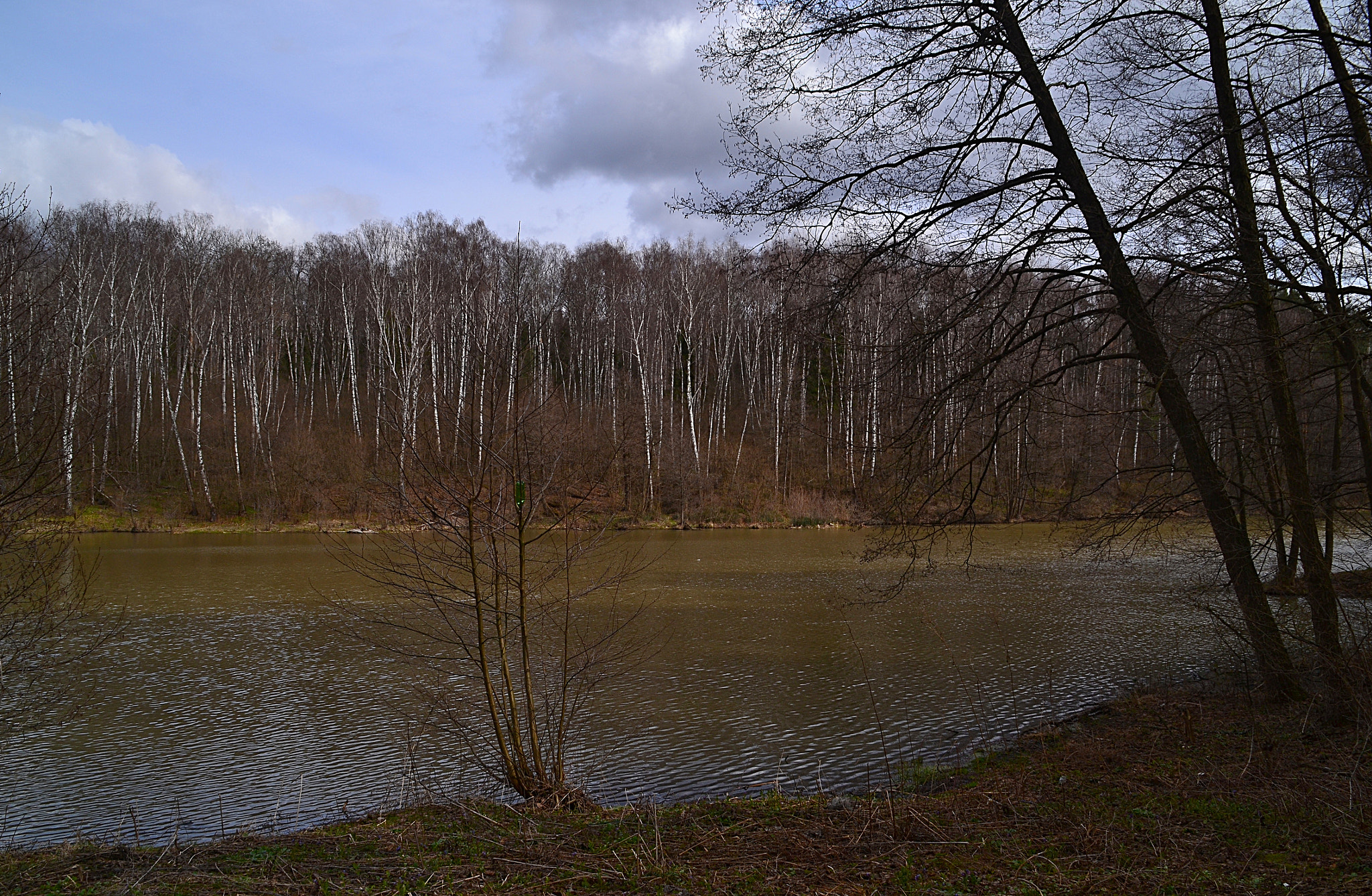 Nikon D3100 sample photo. Semyonovsky pond photography