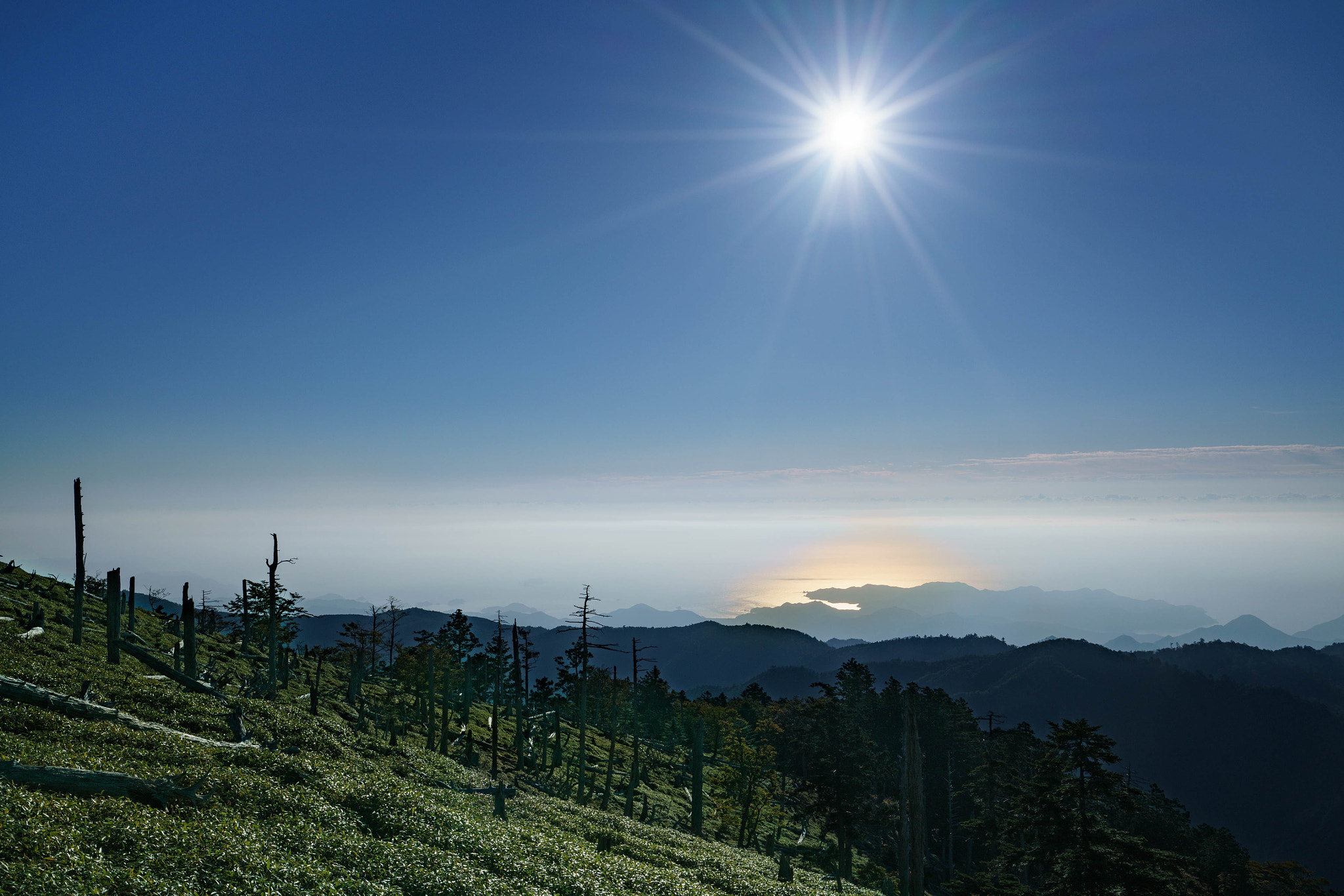 Sony a7R II + Sony Vario-Tessar T* FE 16-35mm F4 ZA OSS sample photo. 005.jpg photography