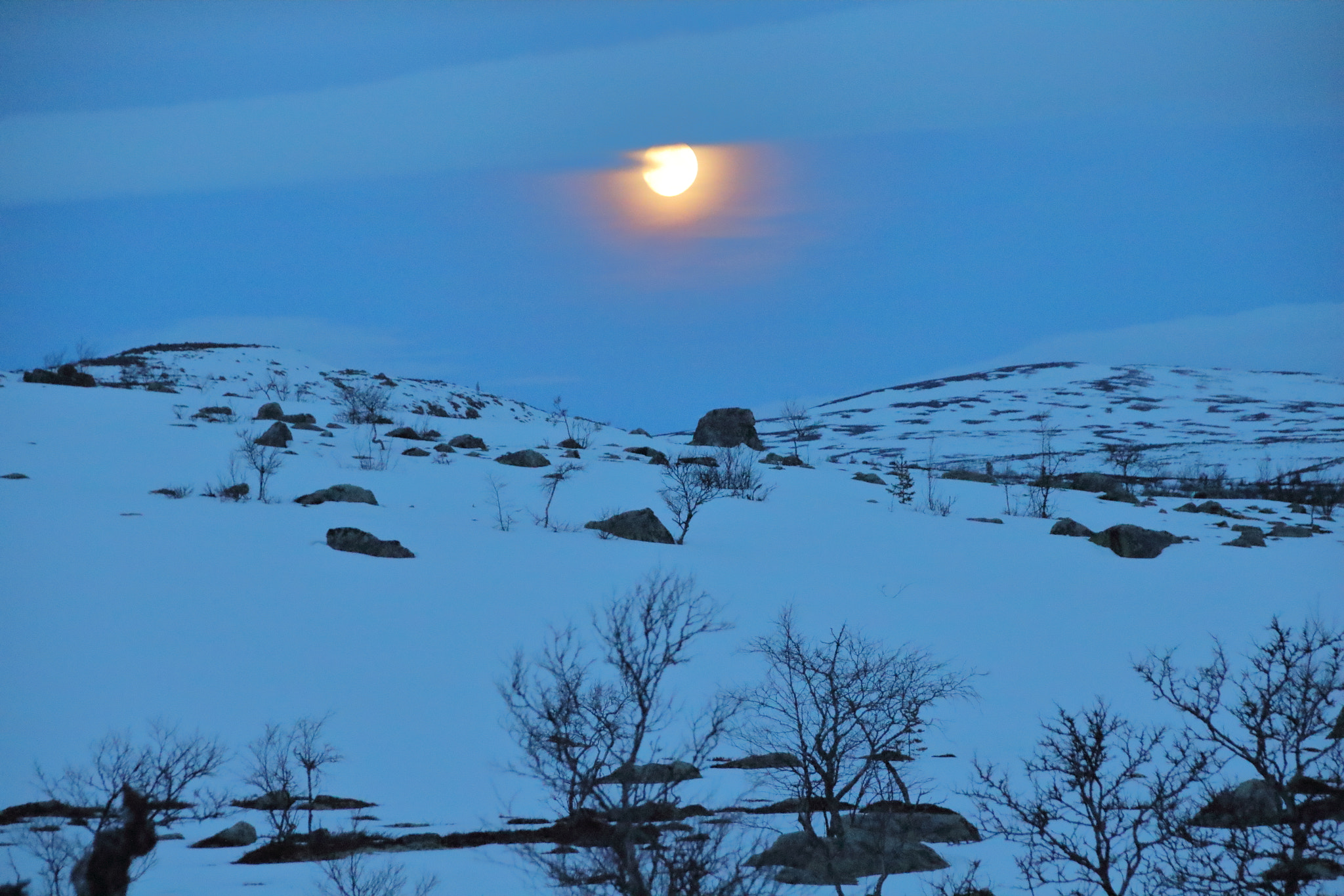 Sigma 18-250mm F3.5-6.3 DC OS HSM sample photo. The wilderness and the moon photography