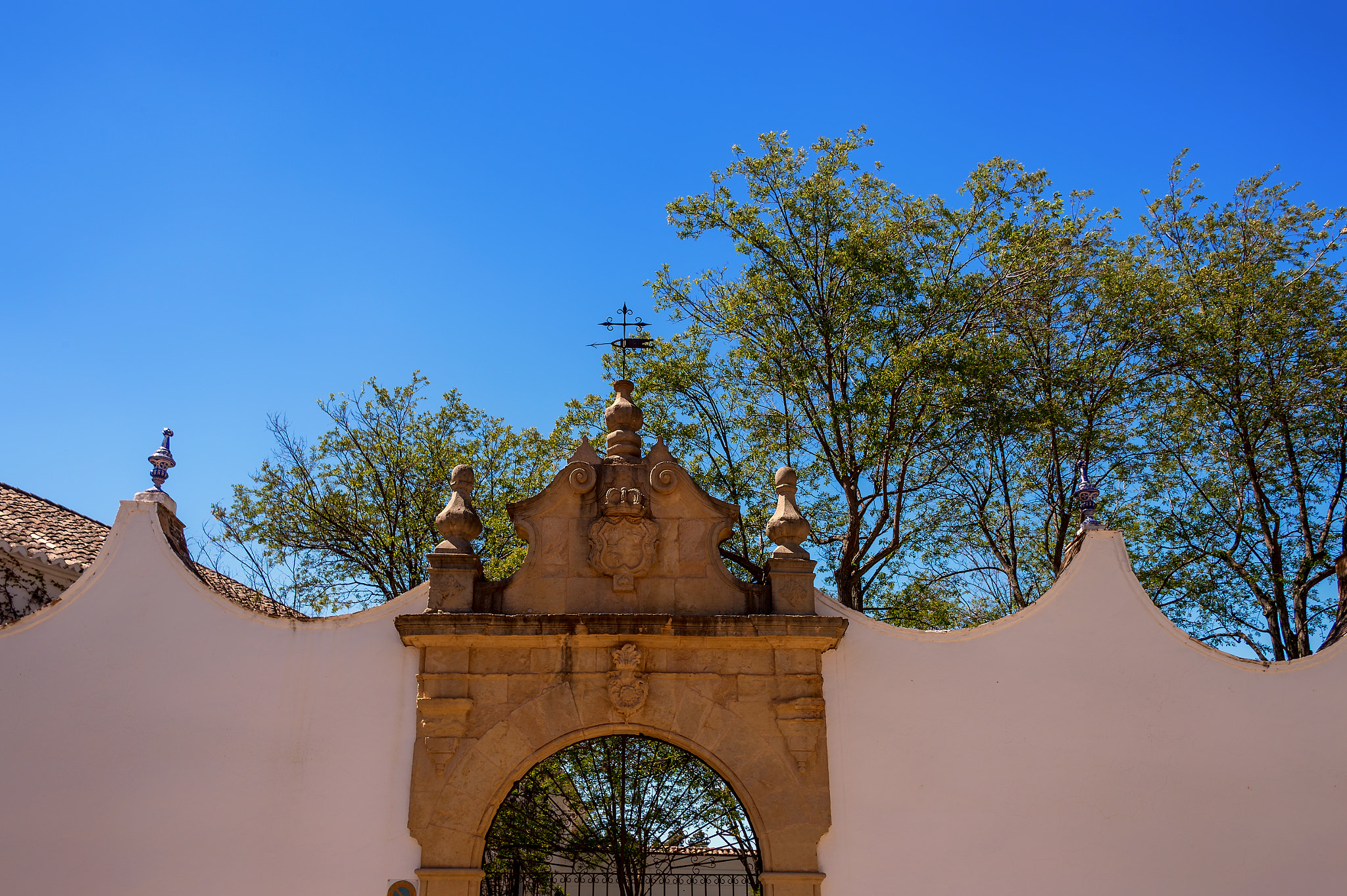 Nikon D4S sample photo. Ronda photography