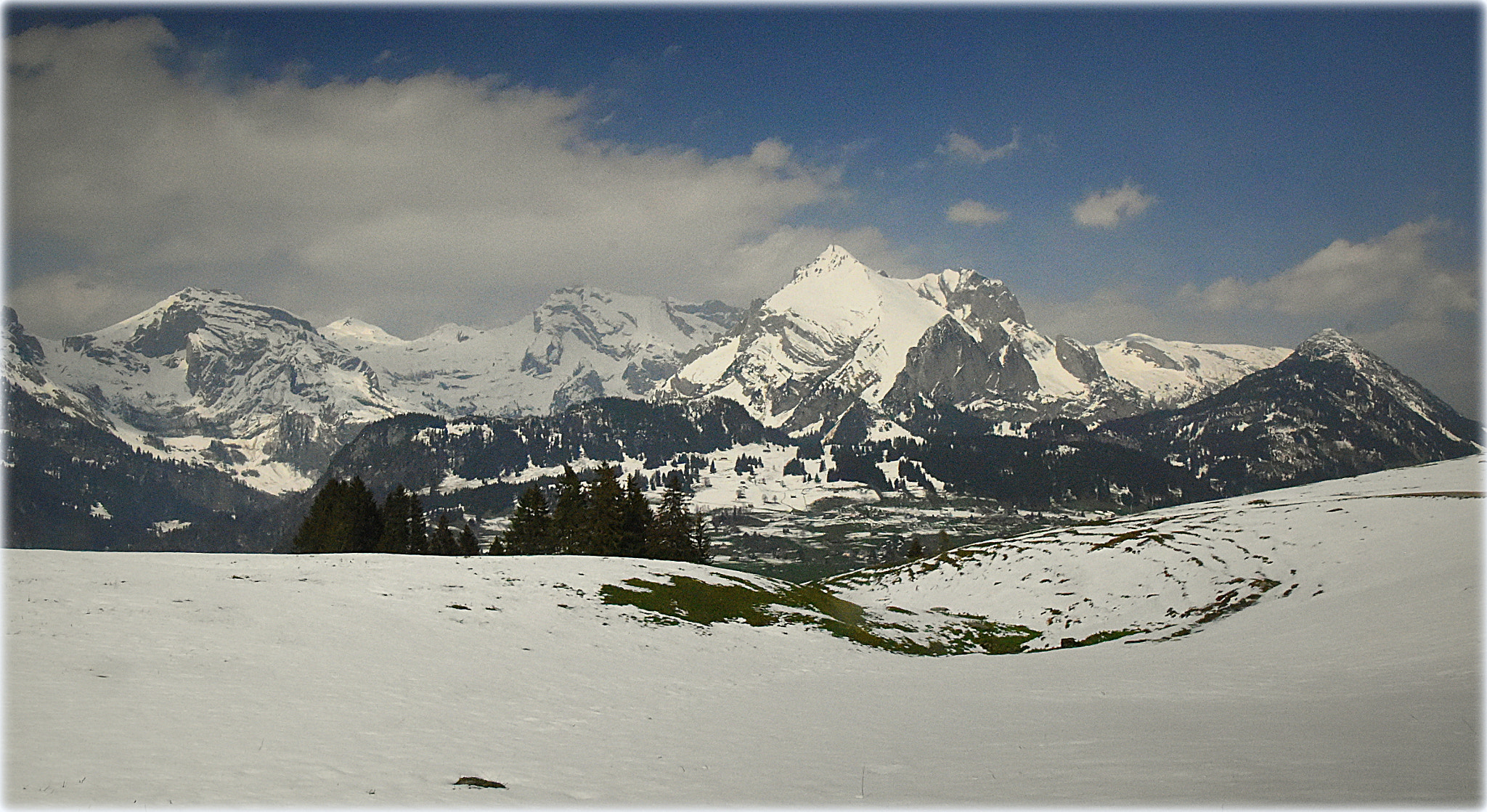 Nikon D810 sample photo. "toggenburg;" photography