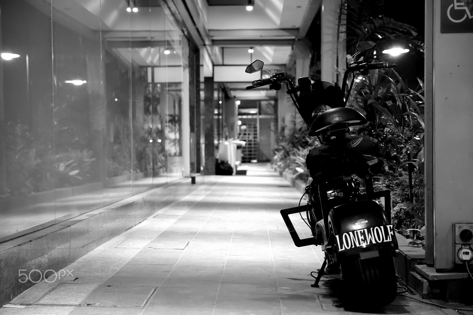 Sigma 17-50mm F2.8 EX DC OS HSM sample photo. Lonewolf photography