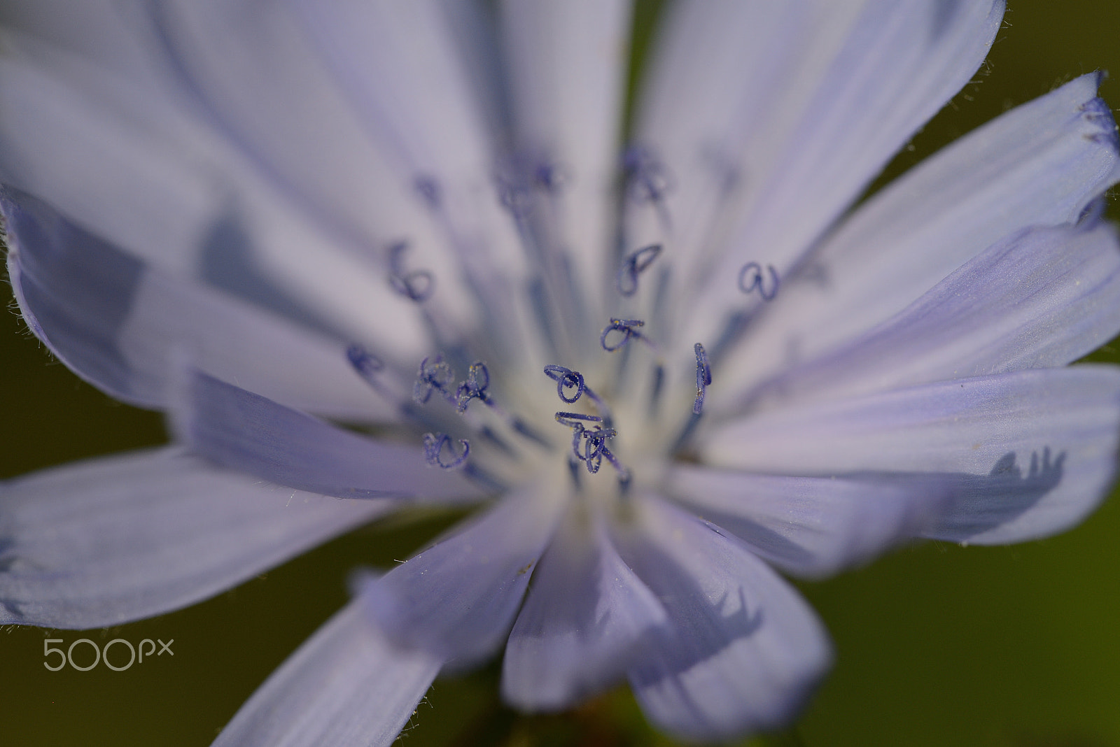 Nikon D800 sample photo. Haber photography