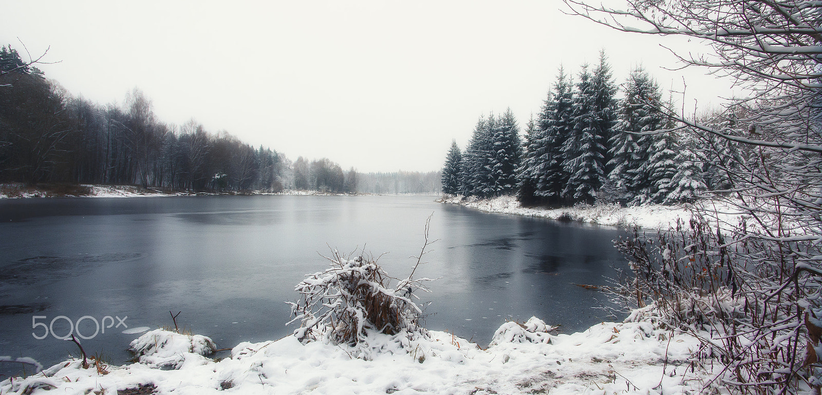 Nikon D7100 sample photo. #37 photography