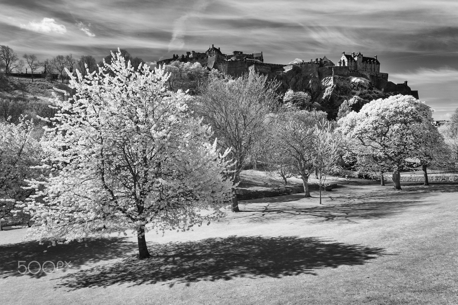 Canon EOS 5D Mark II sample photo. Edinburgh castle from the gardens photography