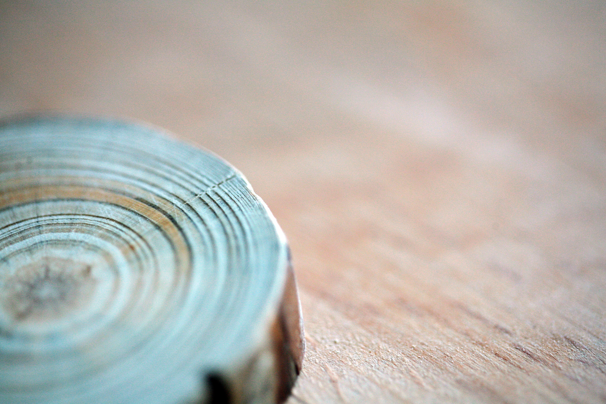Canon EOS 5D sample photo. Piece of wood with nice texture in the woodshop photography