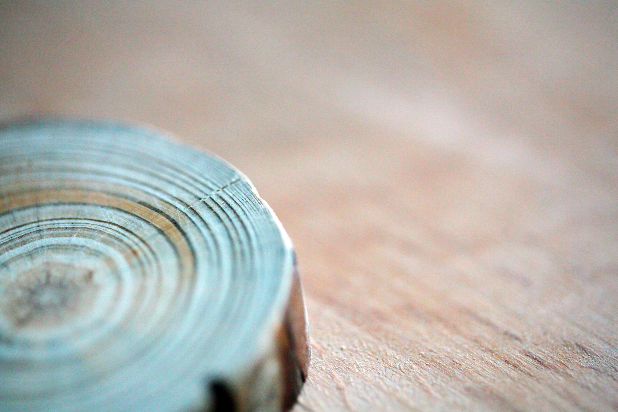 Canon EF 100mm F2.8 Macro USM sample photo. Piece of wood with nice texture in the woodshop photography