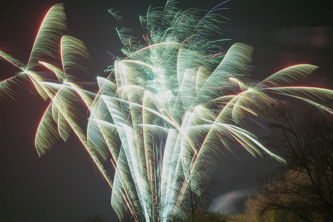 Canon EF 28-300mm F3.5-5.6L IS USM sample photo. Fire palms photography