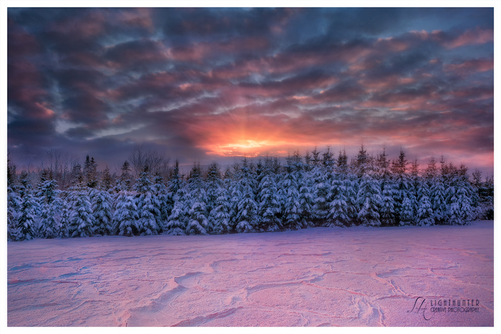 Tamron SP 24-70mm F2.8 Di VC USD sample photo. Winterland ii photography