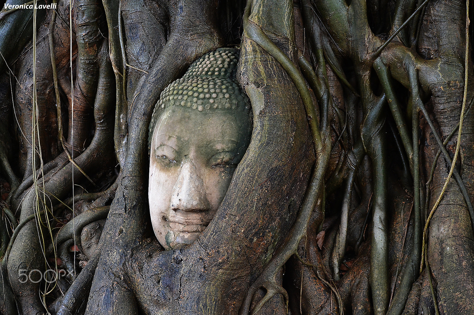 Nikon D3100 sample photo. Buddha head photography