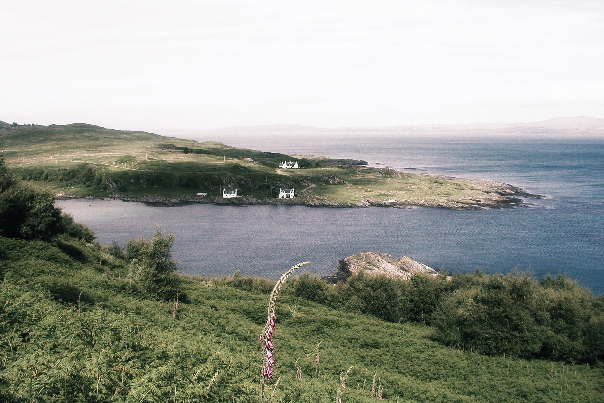 Olympus C4040Z sample photo. Isle of islay scotland photography