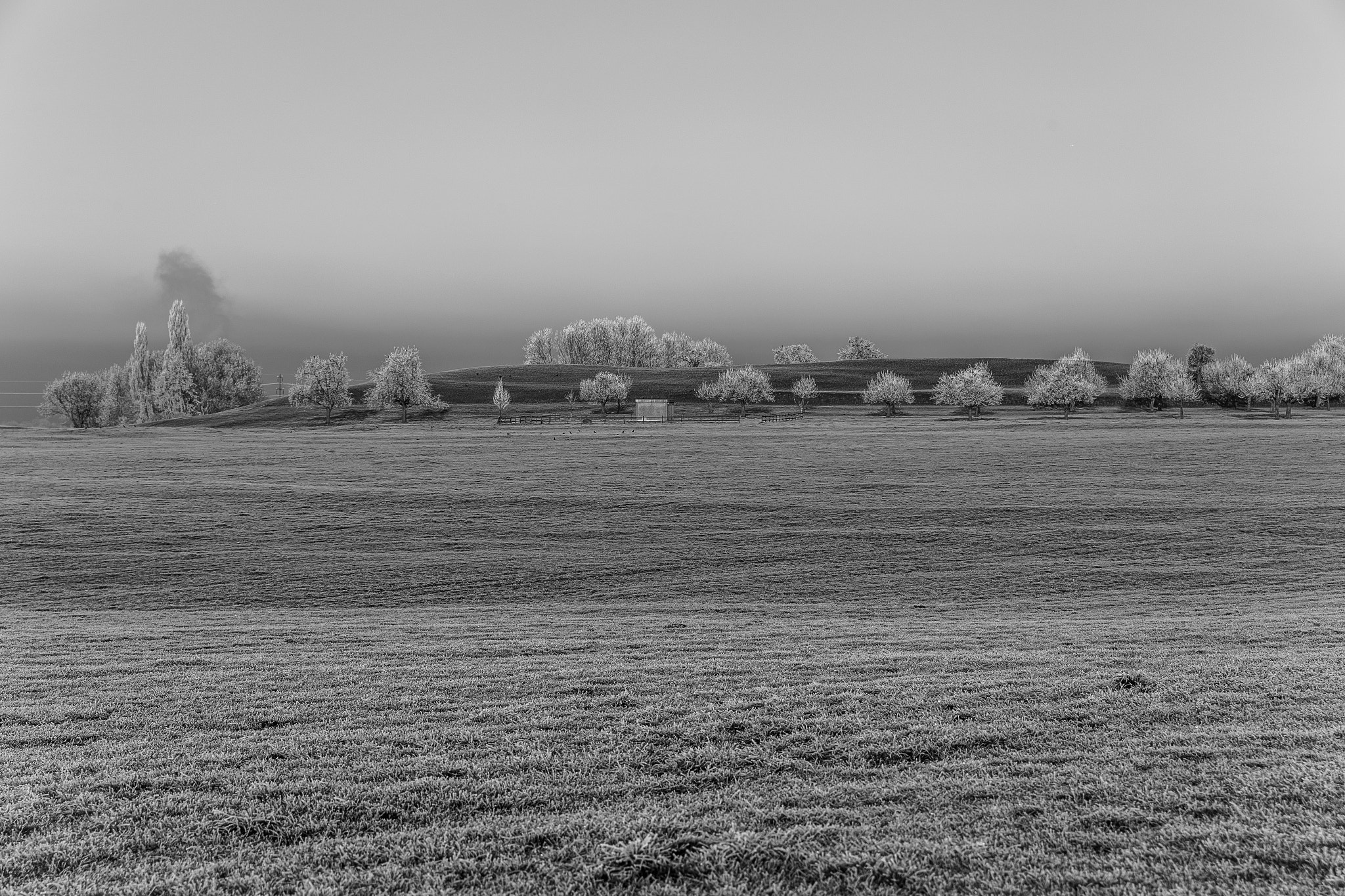 Sigma 24-70mm F2.8 EX DG Macro sample photo. Agricultural zone on a cold winter day photography