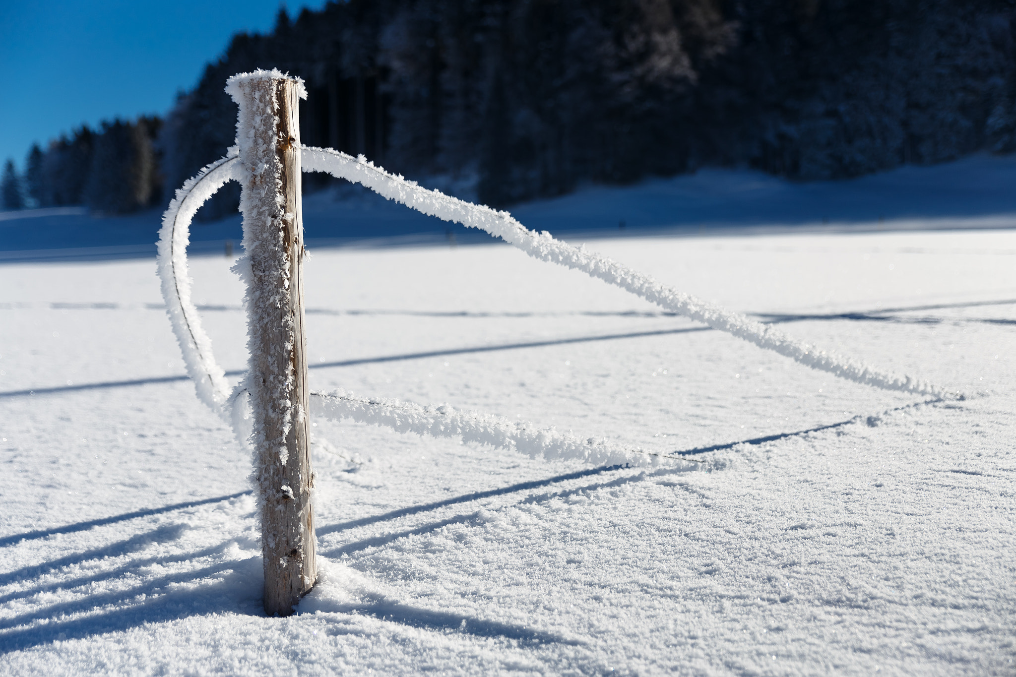 Canon EOS 6D sample photo. Frozen fence photography
