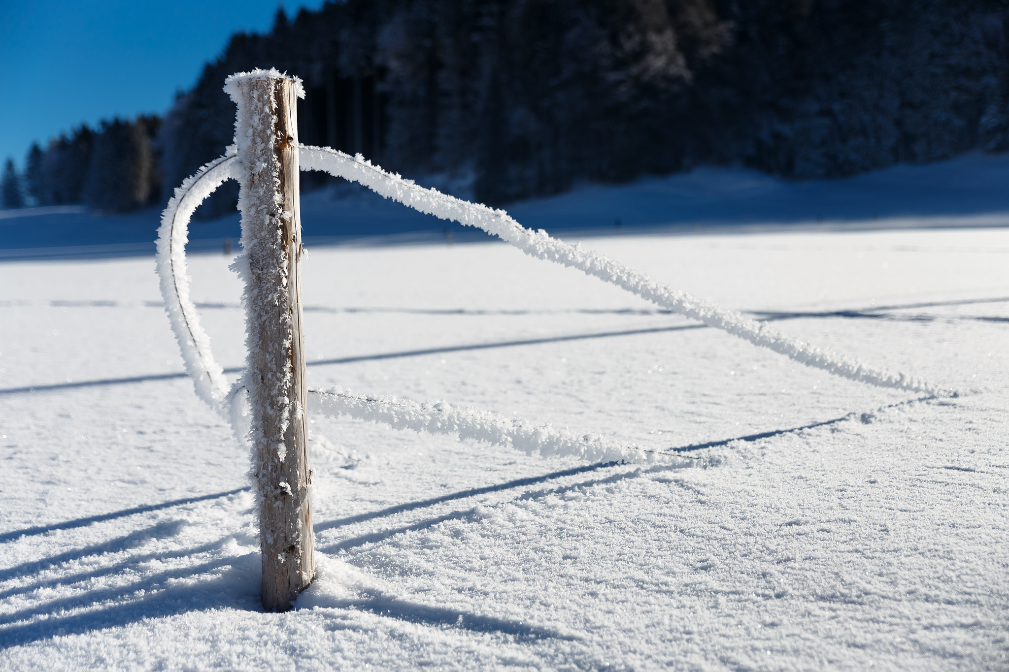 Sigma 24-70mm F2.8 EX DG Macro sample photo. Frozen fence photography