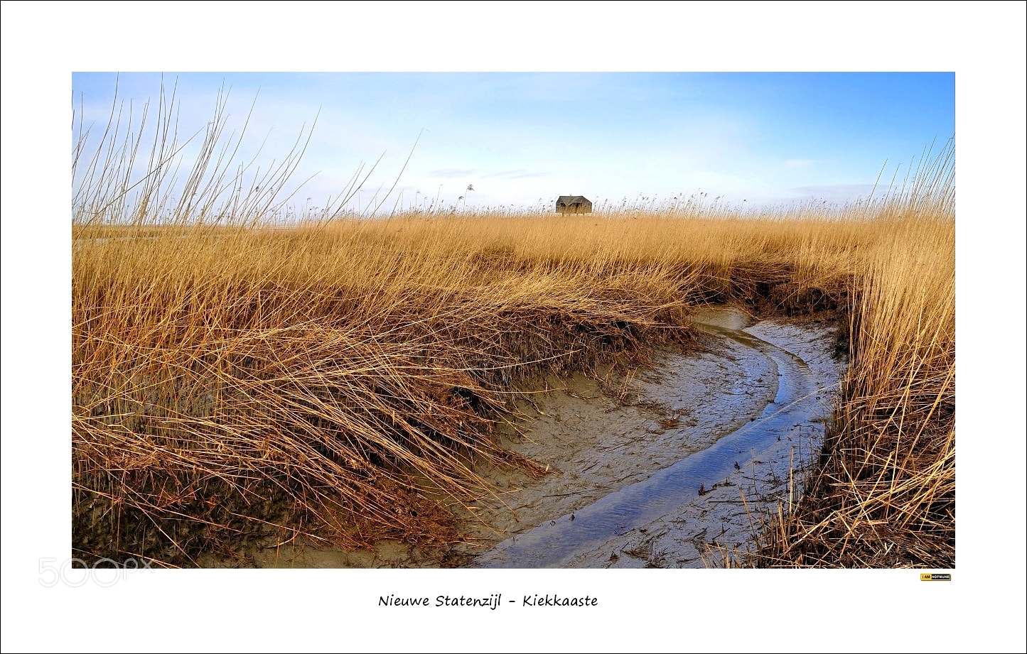 Nikon D90 sample photo. Bird hide "kiekkaaste" at nieuwe statenzijl - dollart estuary photography