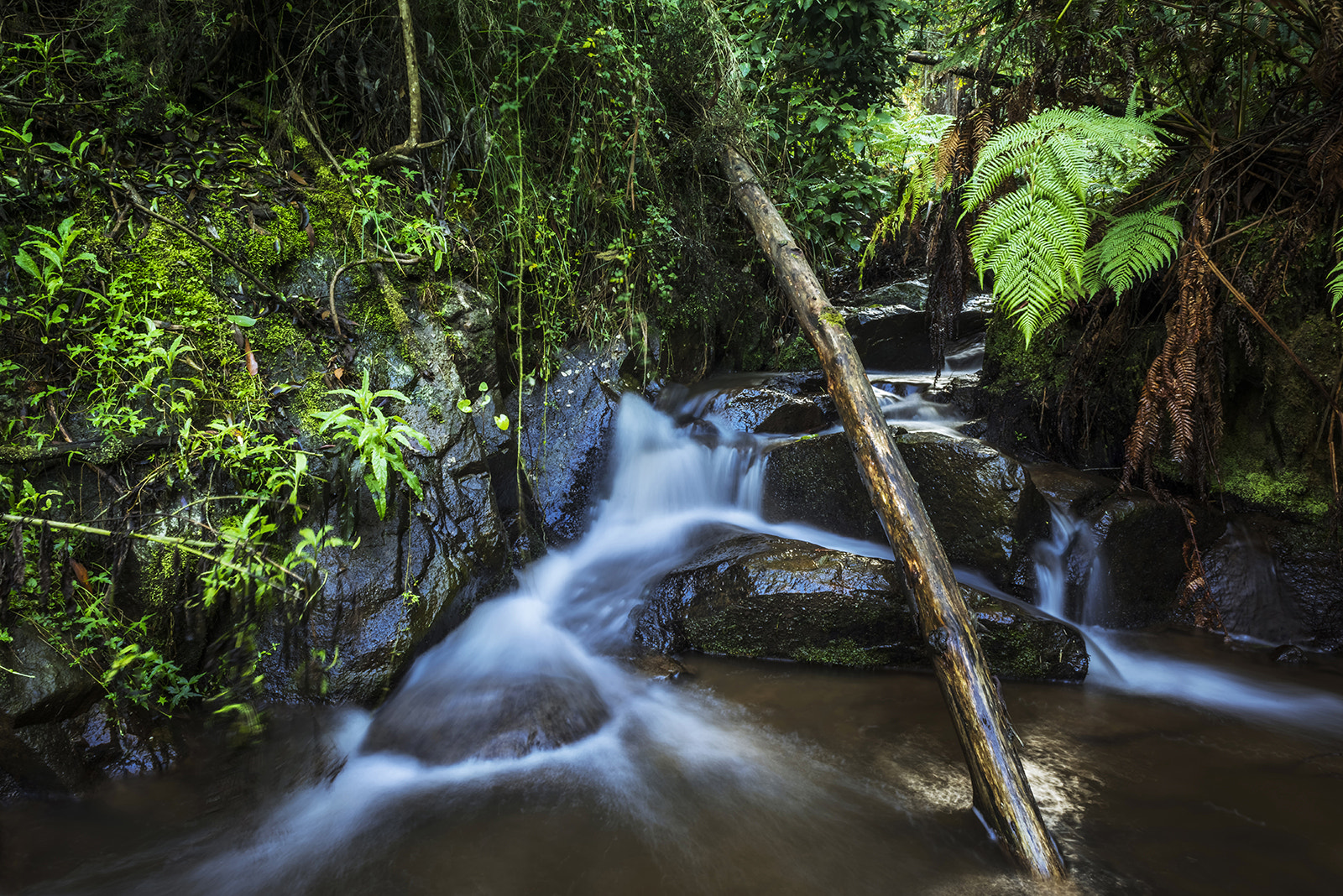 Nikon AF-S Nikkor 24-70mm F2.8G ED sample photo. Olinda falls photography