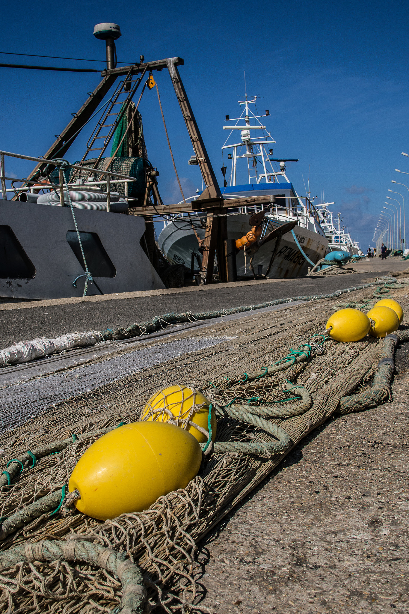 Sigma 19mm F2.8 EX DN sample photo. Olympus digital camera photography