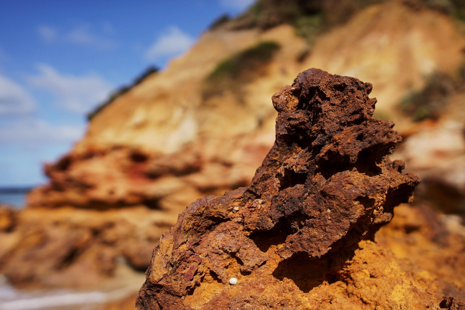 Sony Alpha NEX-7 + Sony Sonnar T* E 24mm F1.8 ZA sample photo. Up close photography