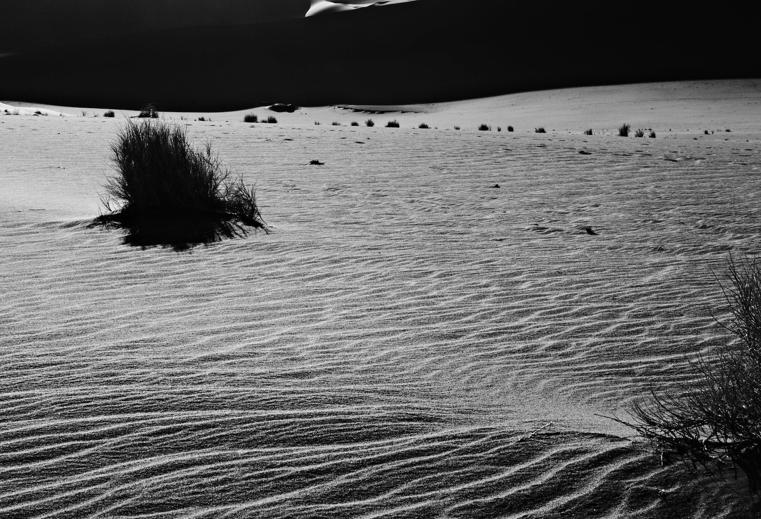 Panasonic Lumix G X Vario 12-35mm F2.8 ASPH Power OIS sample photo. Sand dunes of namibia 3 photography