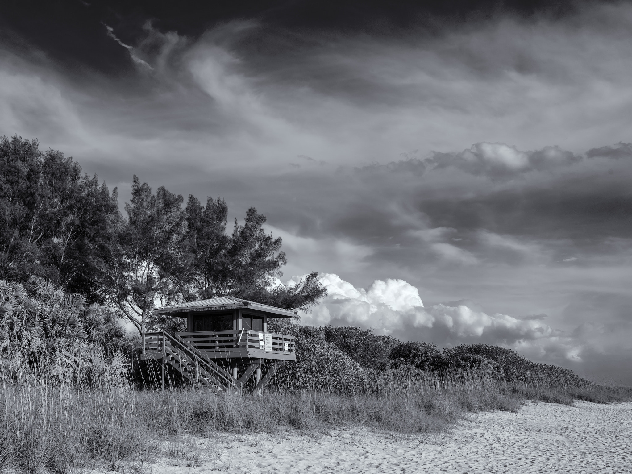 Hasselblad XCD 45mm F3.5 sample photo. Nokomis beach photography