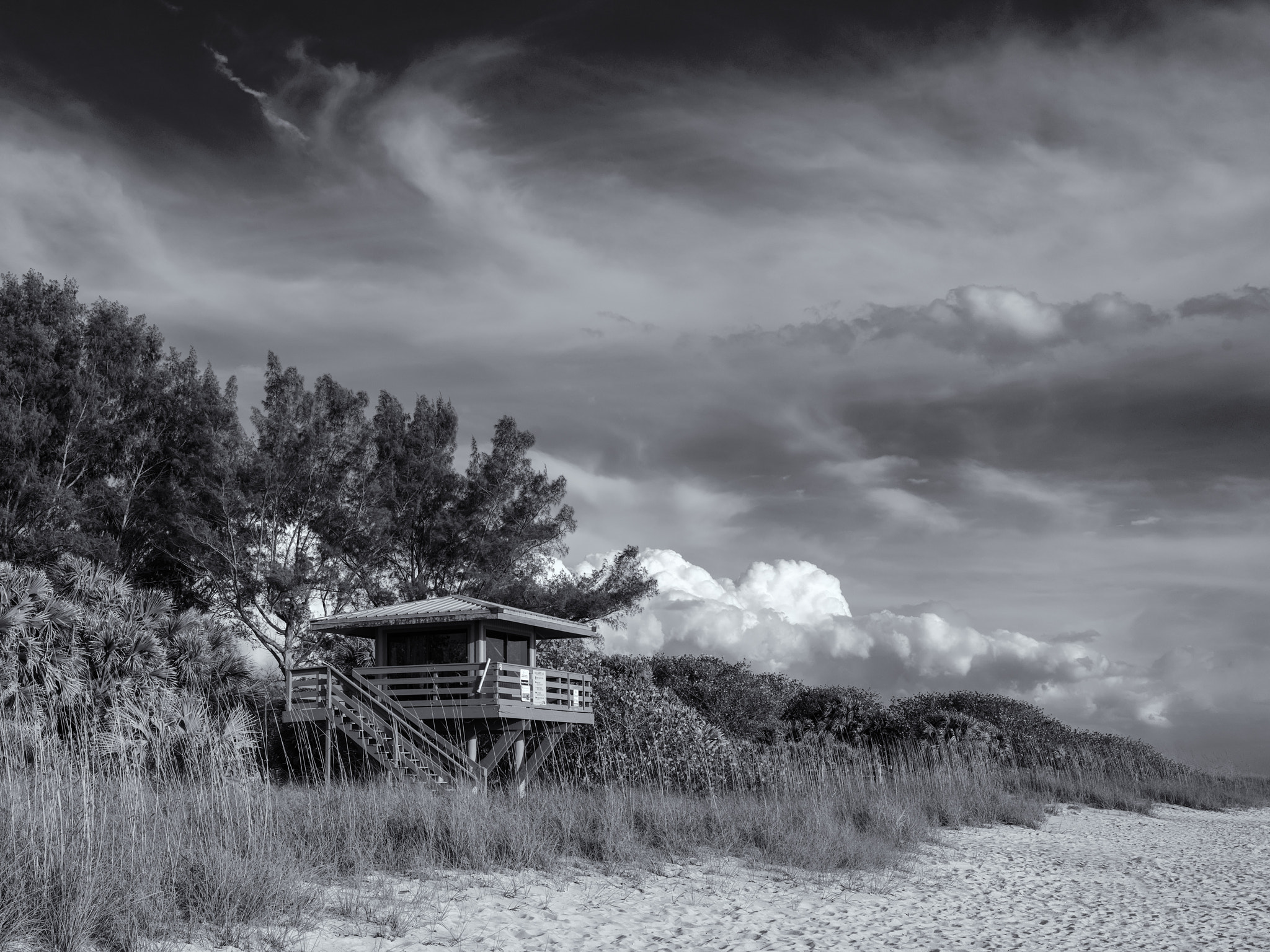 Hasselblad X1D-50c sample photo. Nokomis beach photography