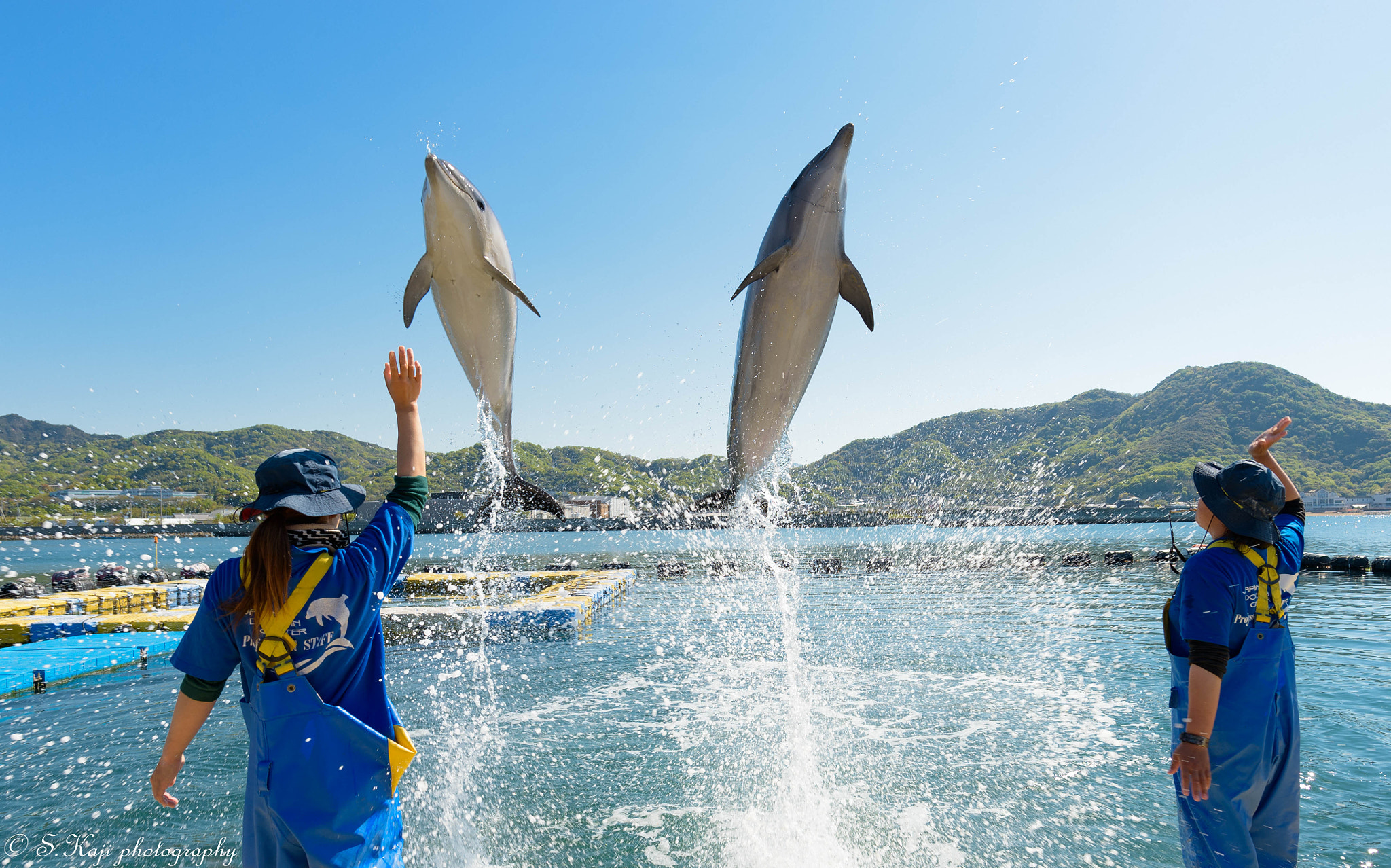 Nikon Df sample photo. Jumping two dolphins photography