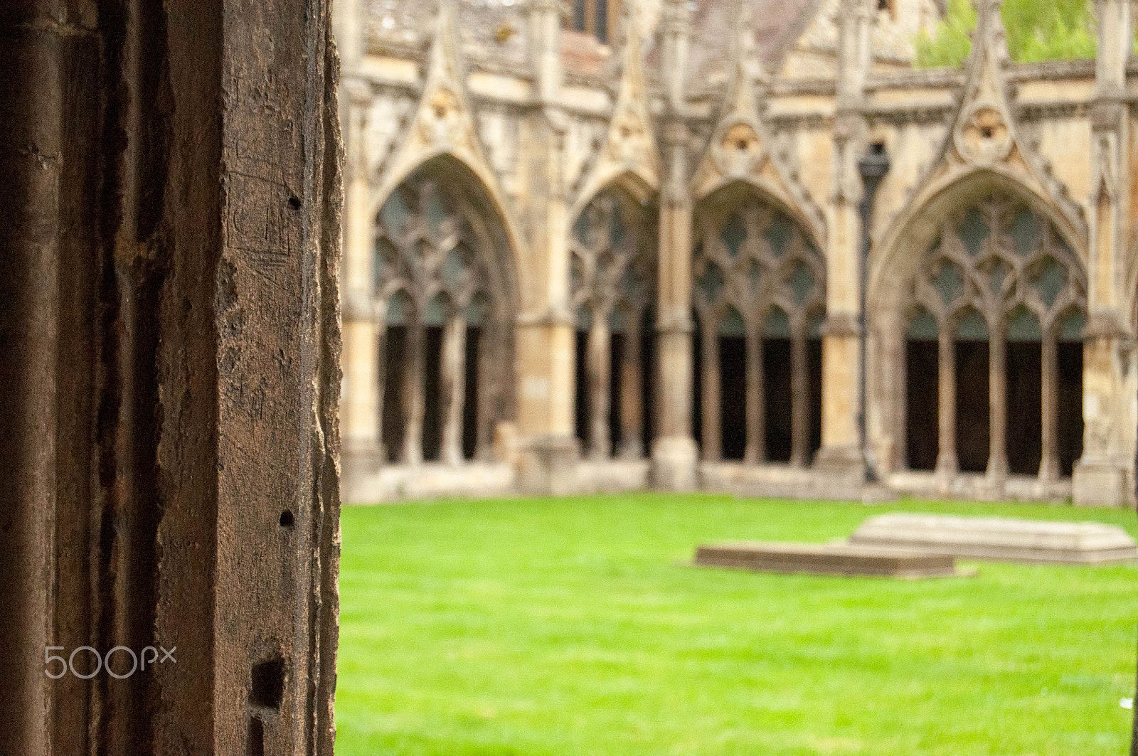 Nikon D5000 sample photo. Depth of field photography