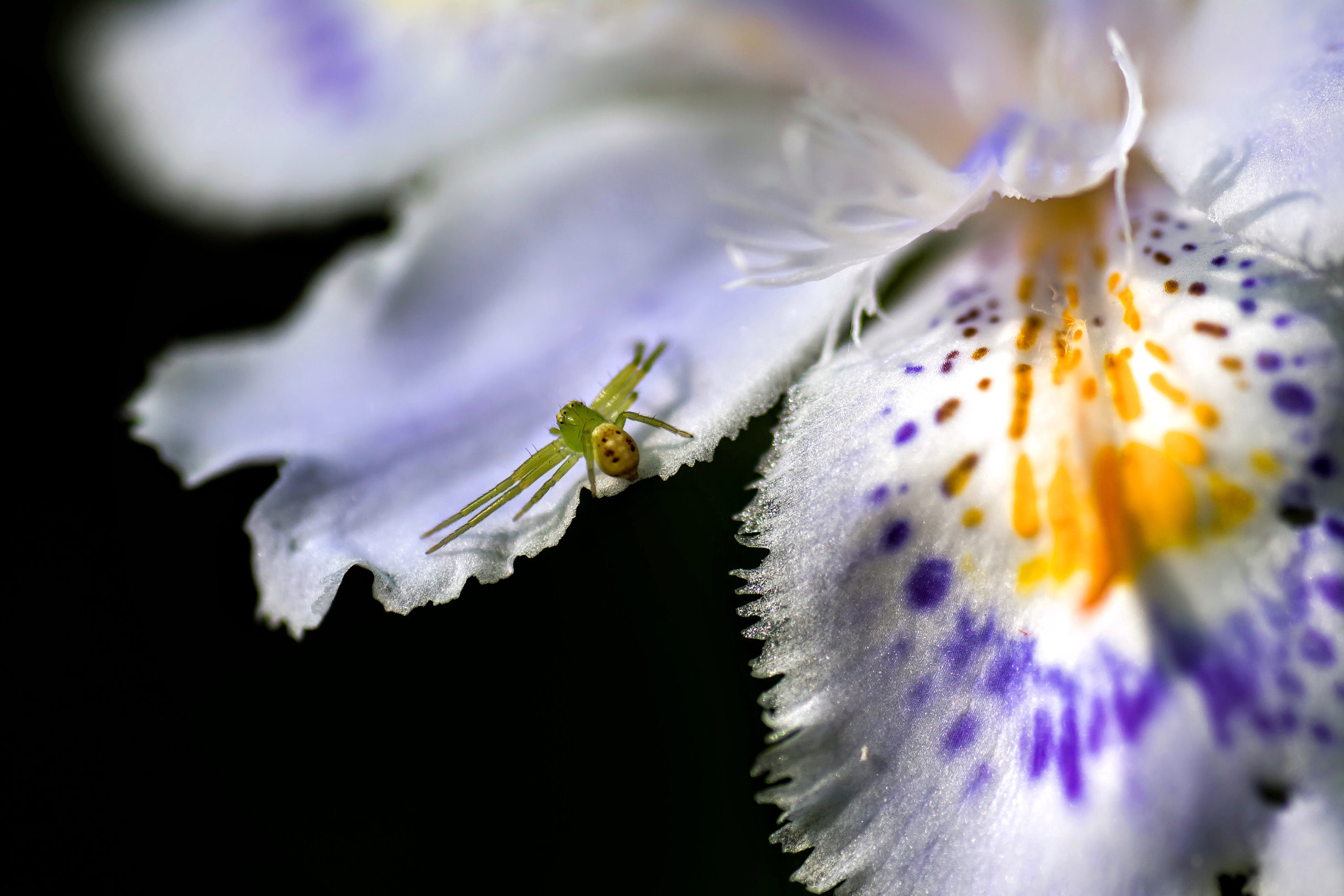 Nikon D7100 sample photo. Untitled photography