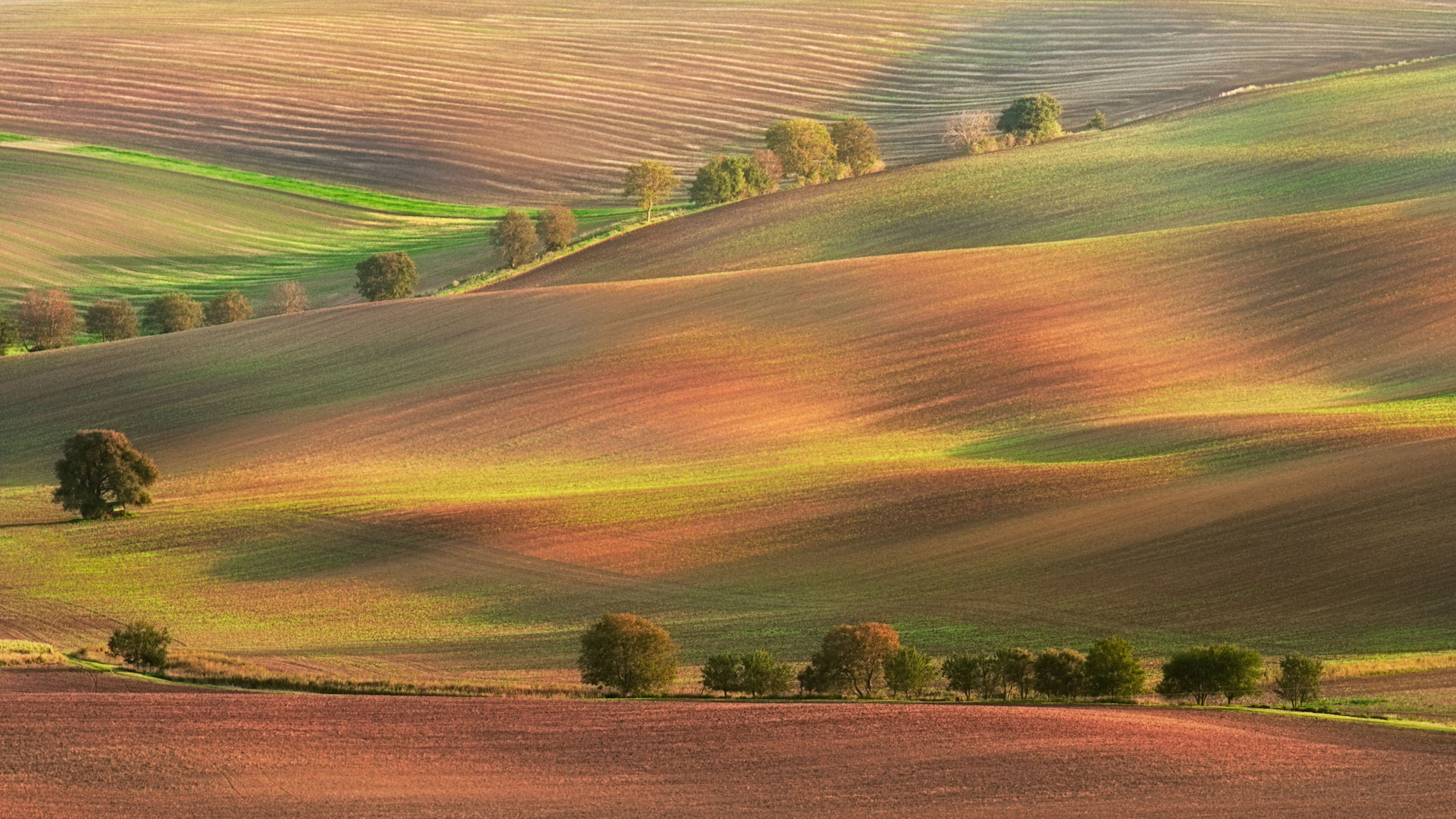 Nikon D800 sample photo. Painted hills photography