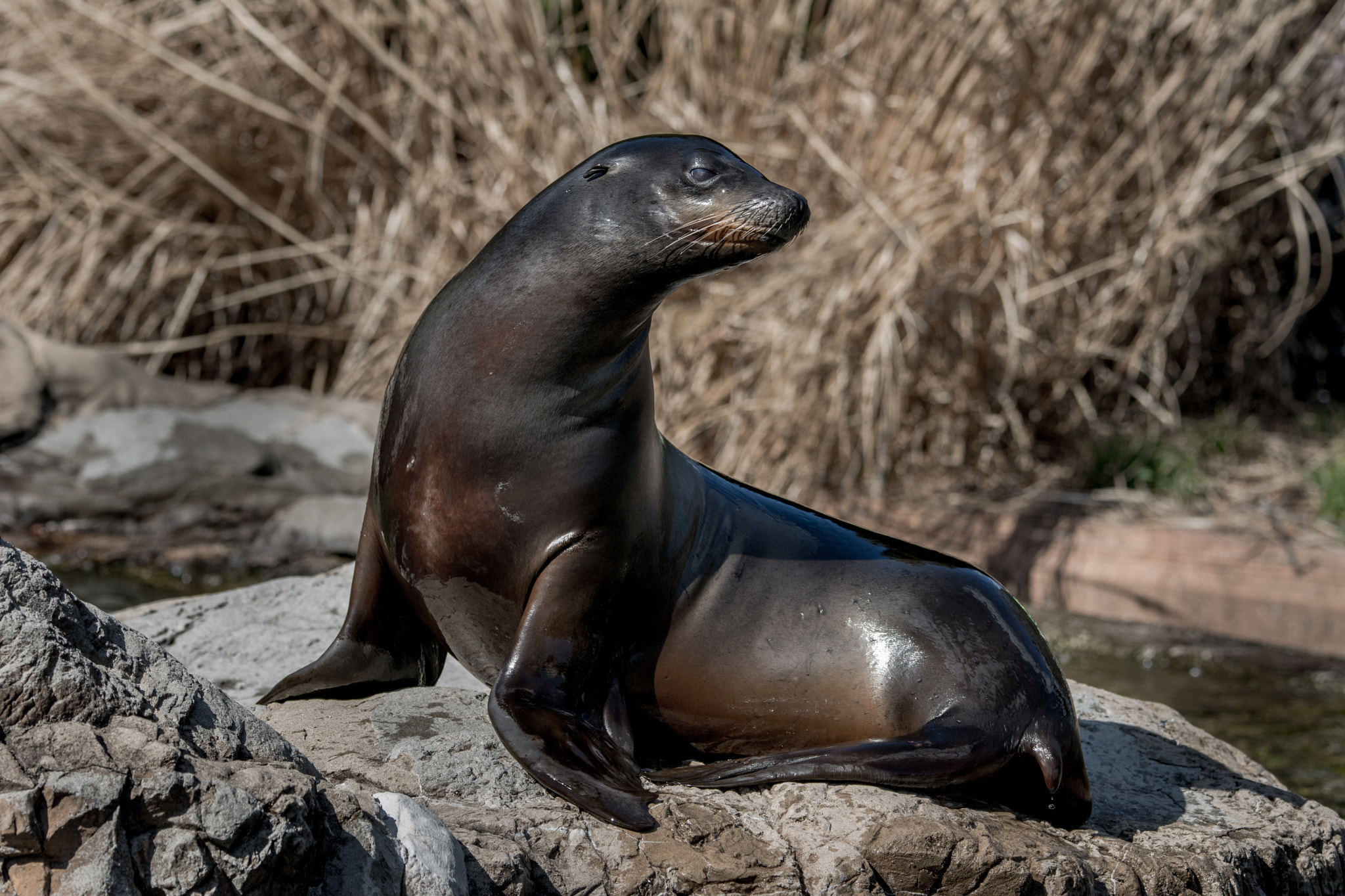 Nikon D800 sample photo. I am ready for my closeup photography