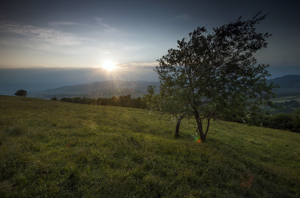 Sigma 10-20mm F4-5.6 EX DC HSM sample photo