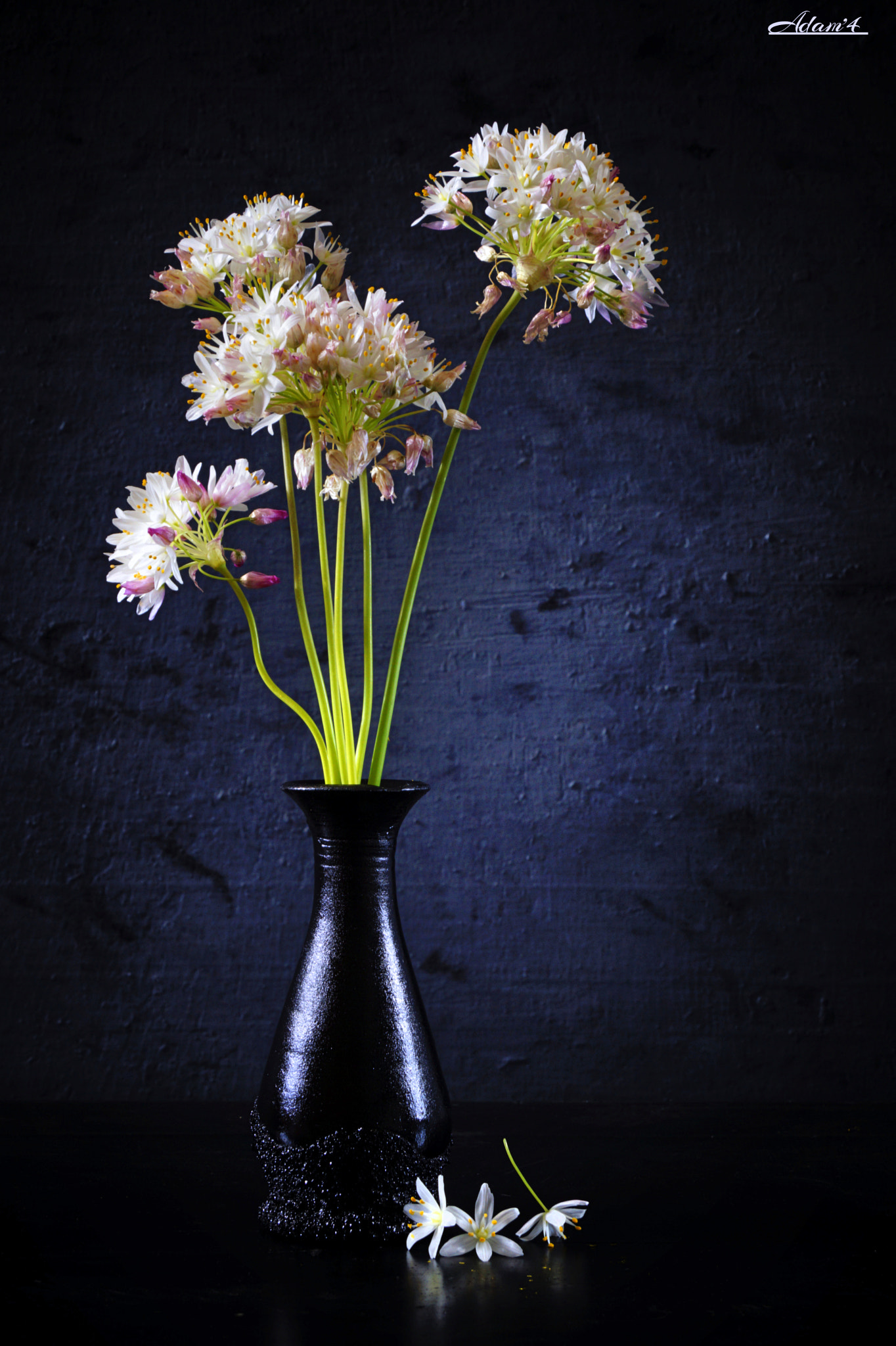 Sony DT 18-250mm F3.5-6.3 sample photo. Still life photography