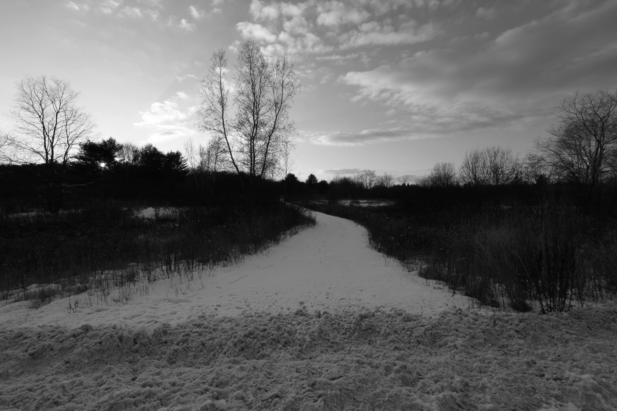 Canon EOS 5D Mark II sample photo. Winter pathway photography