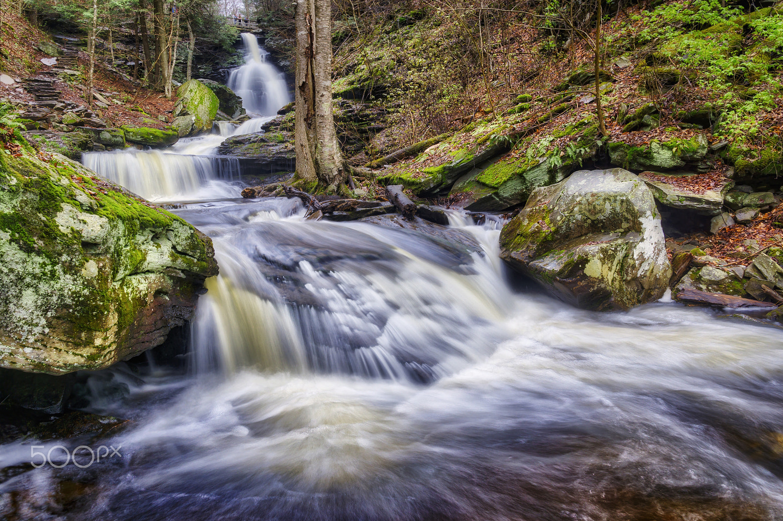 Sony a6000 sample photo. Below ozone falls, 2017.04.22 photography