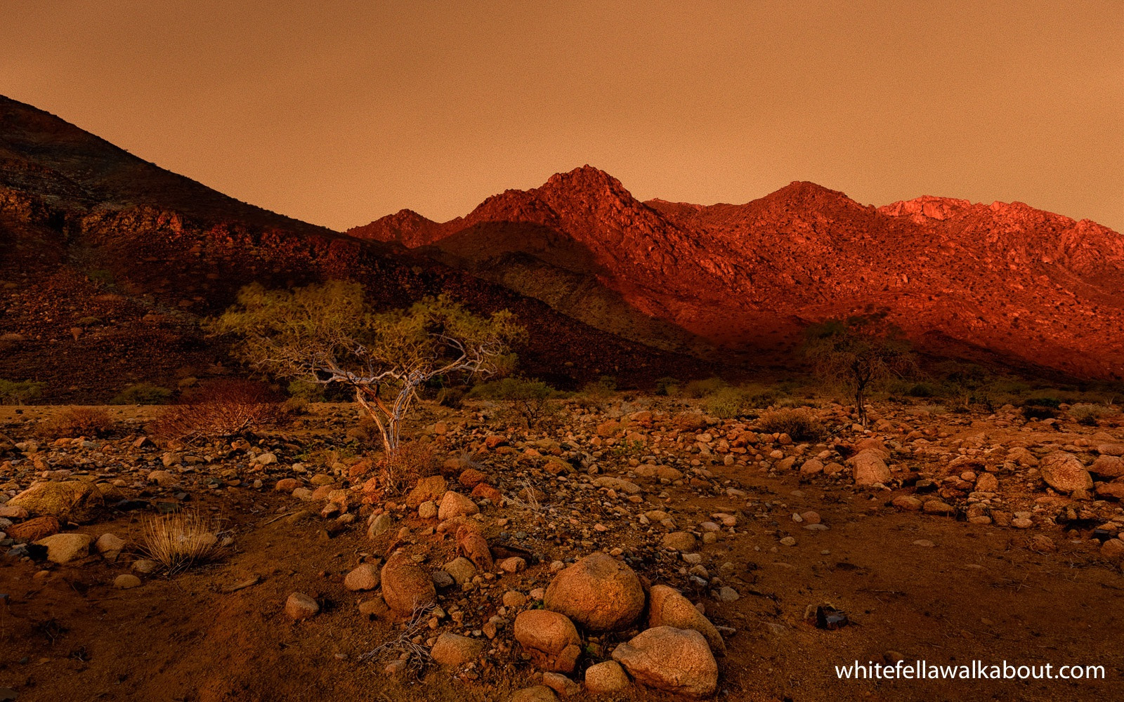 Nikon D810 sample photo. Evening light around the western end of the brandberg mountains, namibia photography