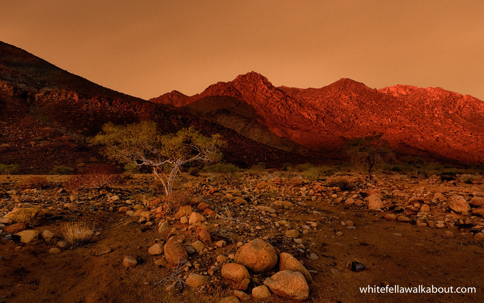 Nikon AF-S Nikkor 14-24mm F2.8G ED sample photo. Evening light around the western end of the brandberg mountains, namibia photography