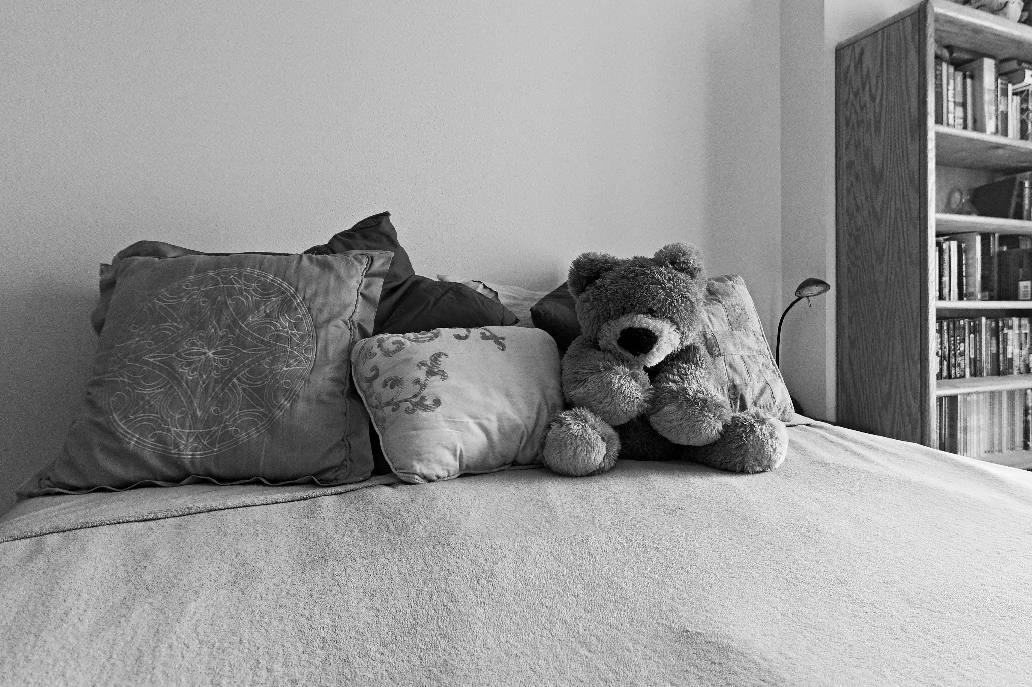 Sigma 10-20mm F3.5 EX DC HSM sample photo. My fluffy friend photography