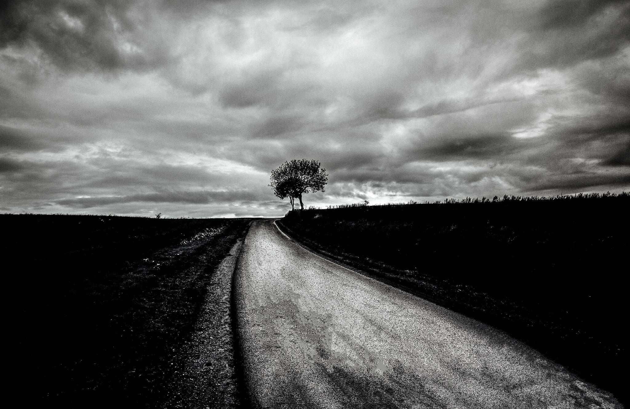 Tamron SP AF 17-50mm F2.8 XR Di II LD Aspherical (IF) sample photo. Tree by the road photography
