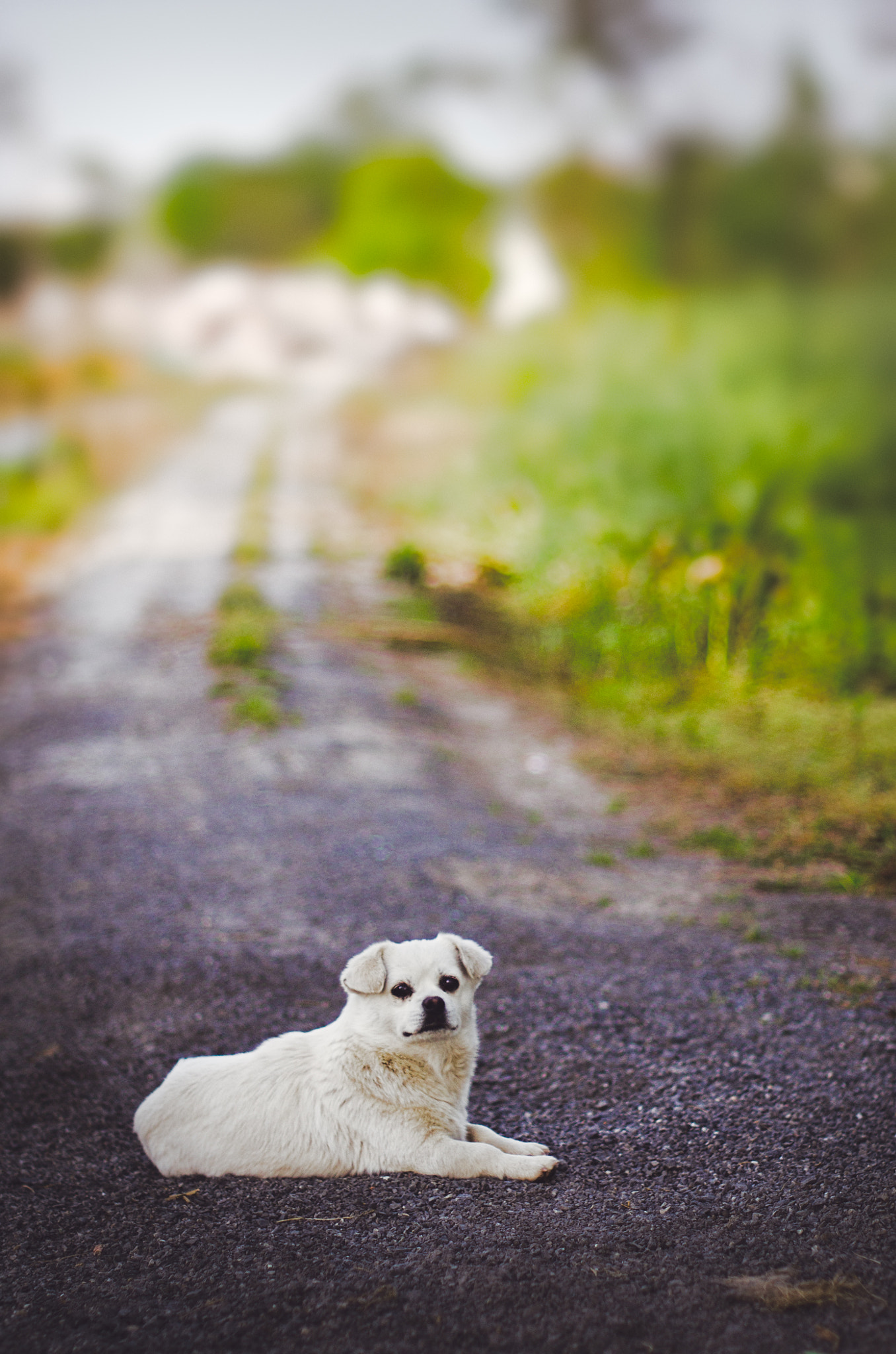 Nikon D7000 sample photo. 423骑行 photography