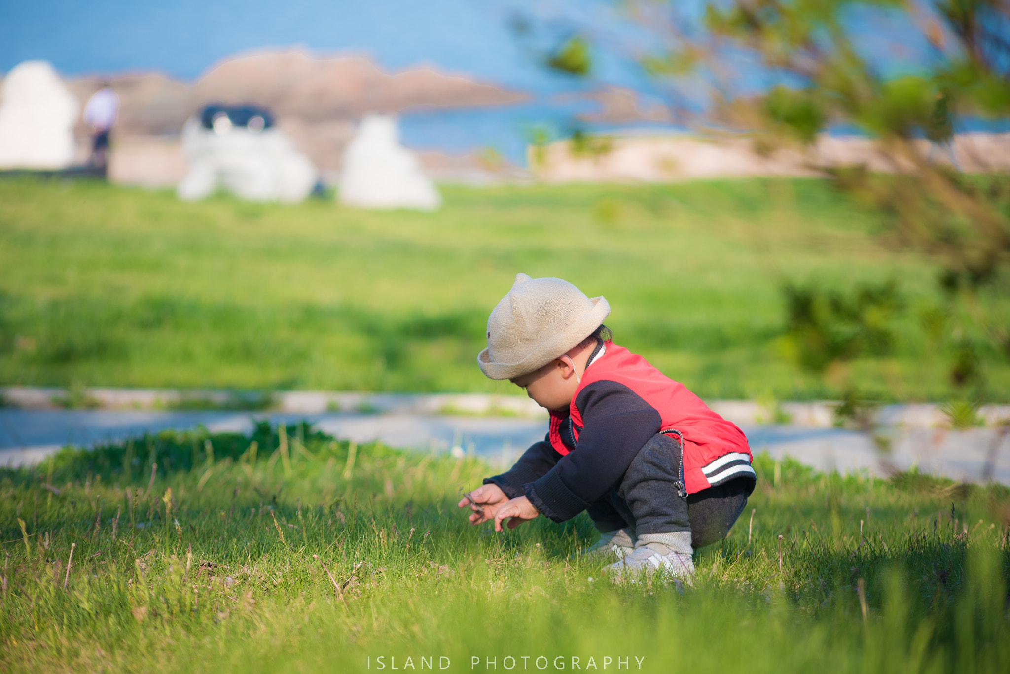 Nikon D750 + AF Nikkor 70-210mm f/4-5.6D sample photo. 编辑 photography