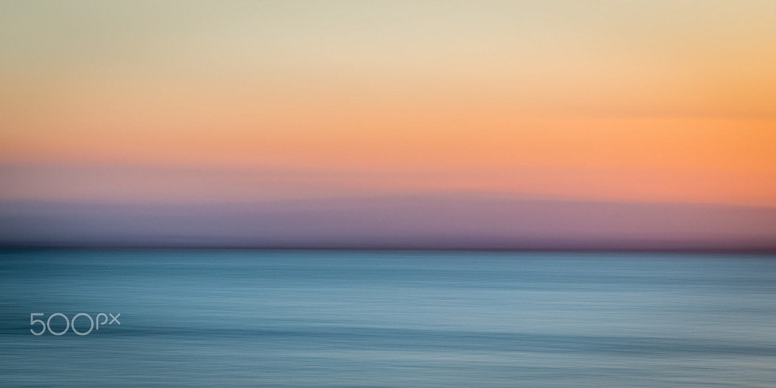 Canon EOS 5D Mark IV sample photo. Panning albufera lake natural park photography