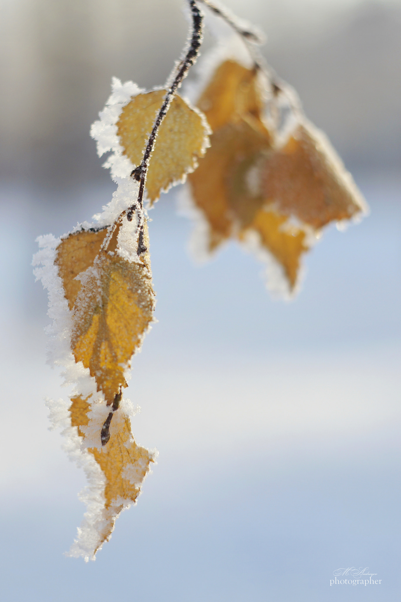 Sony Alpha DSLR-A580 sample photo. Winter's moment photography